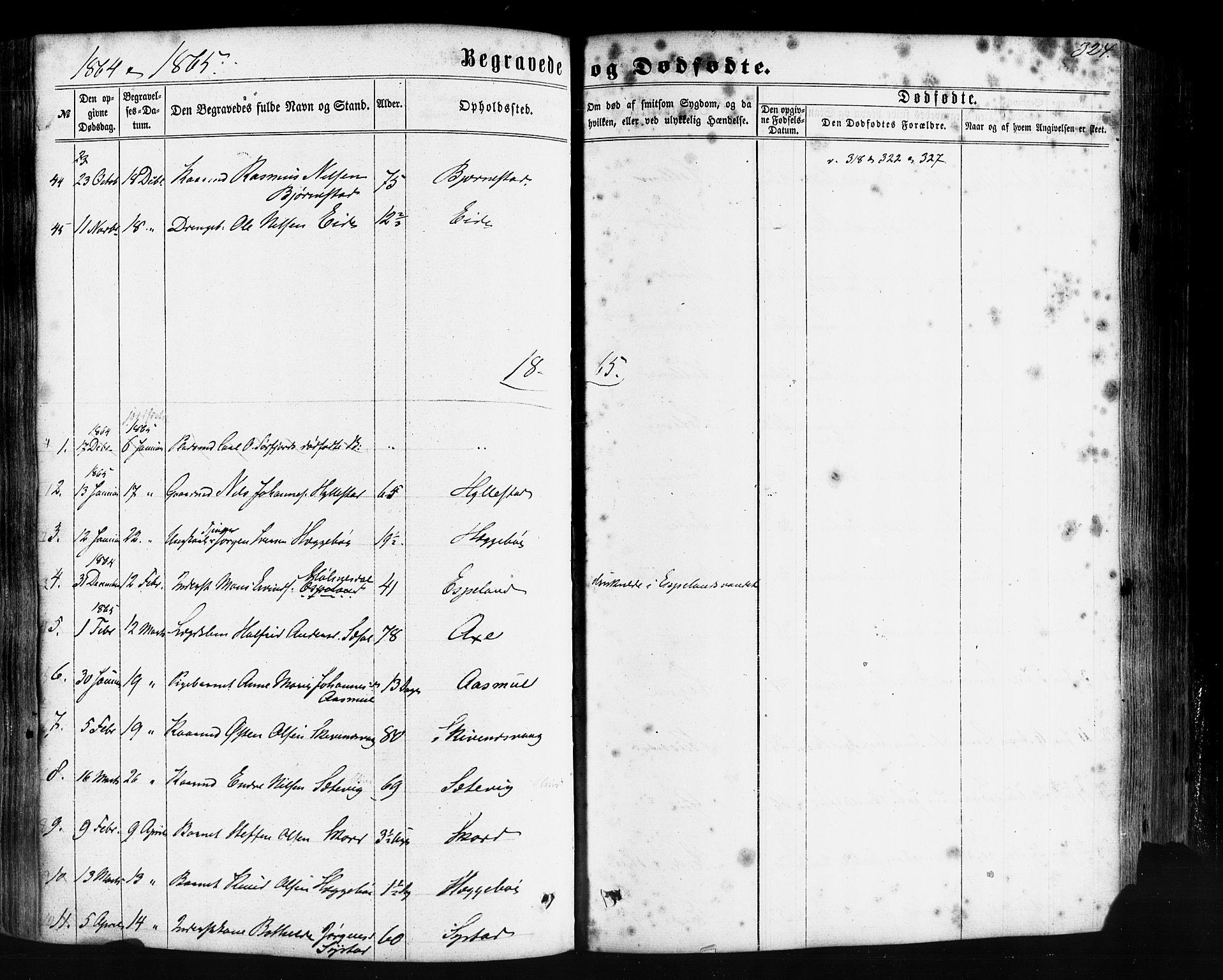 Hyllestad sokneprestembete, SAB/A-80401: Parish register (official) no. A 1, 1861-1886, p. 324