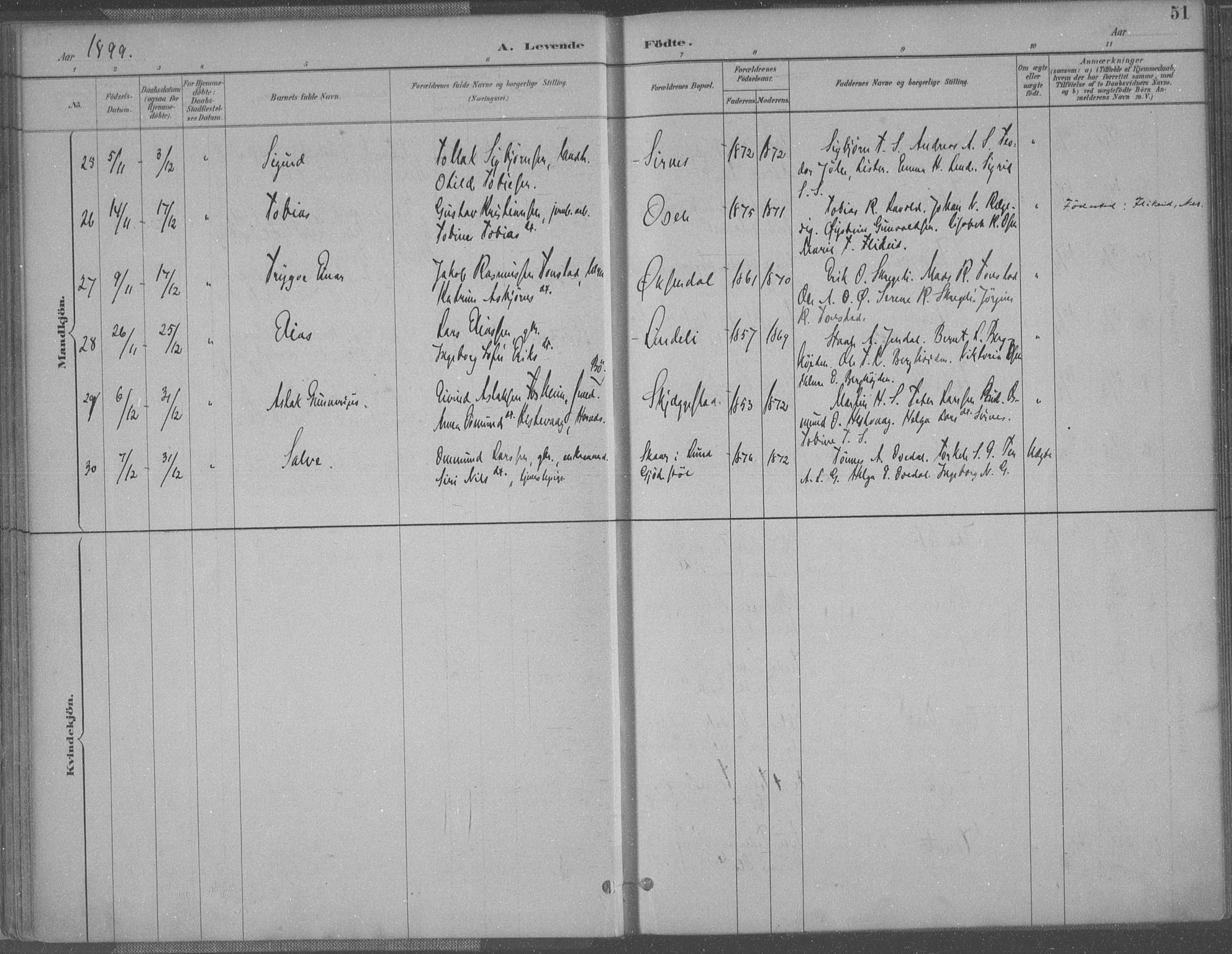 Bakke sokneprestkontor, AV/SAK-1111-0002/F/Fa/Faa/L0008: Parish register (official) no. A 8, 1887-1911, p. 51