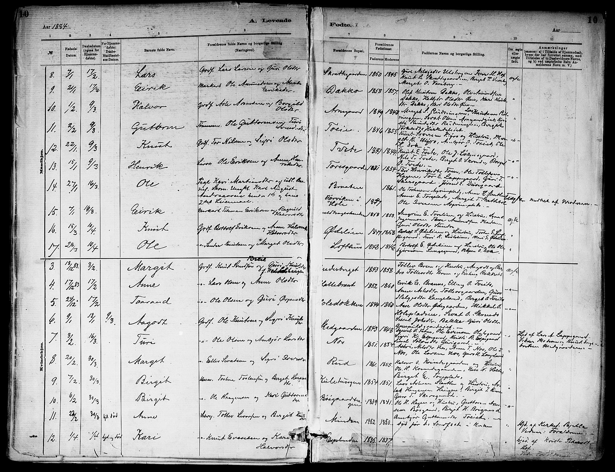Ål kirkebøker, SAKO/A-249/F/Fa/L0008: Parish register (official) no. I 8, 1882-1896, p. 10