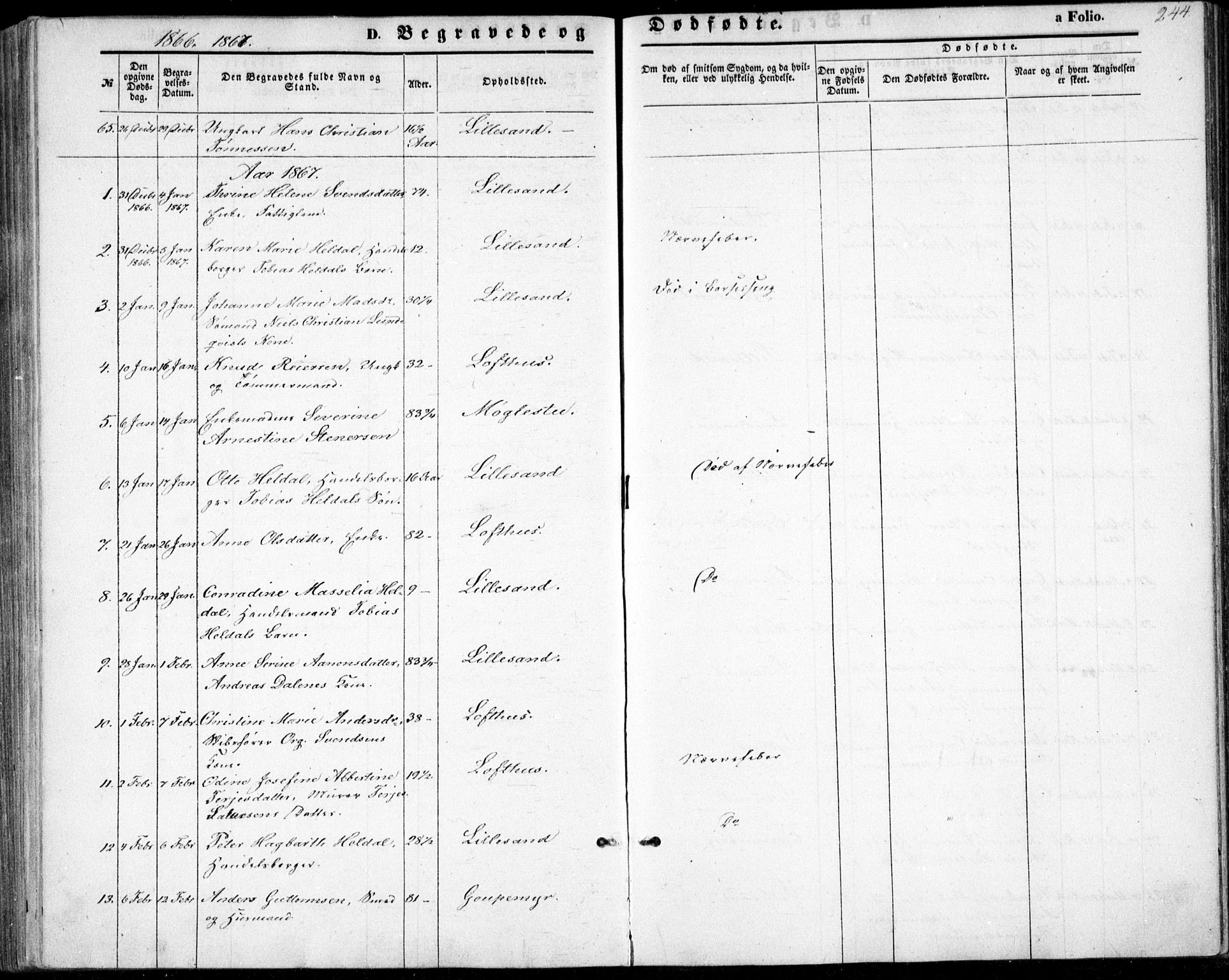 Vestre Moland sokneprestkontor, SAK/1111-0046/F/Fb/Fbb/L0004: Parish register (copy) no. B 4, 1861-1872, p. 244