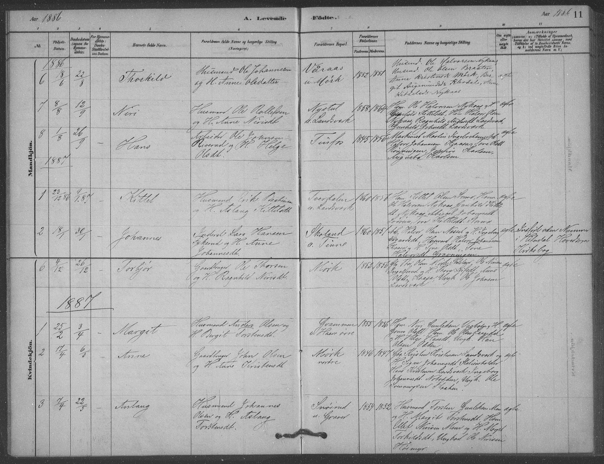Heddal kirkebøker, SAKO/A-268/F/Fb/L0002: Parish register (official) no. II 2, 1878-1913, p. 11