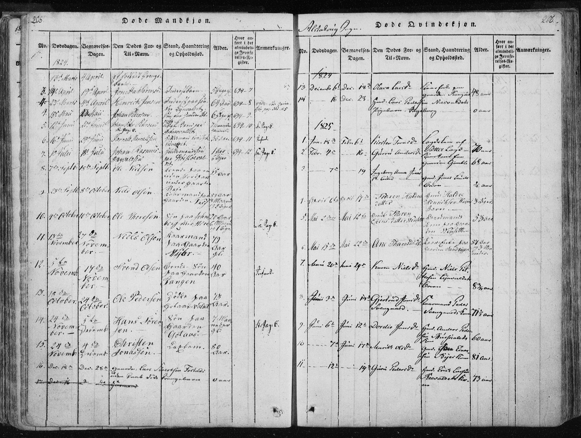 Ministerialprotokoller, klokkerbøker og fødselsregistre - Nord-Trøndelag, SAT/A-1458/717/L0148: Parish register (official) no. 717A04 /1, 1816-1825, p. 205-206