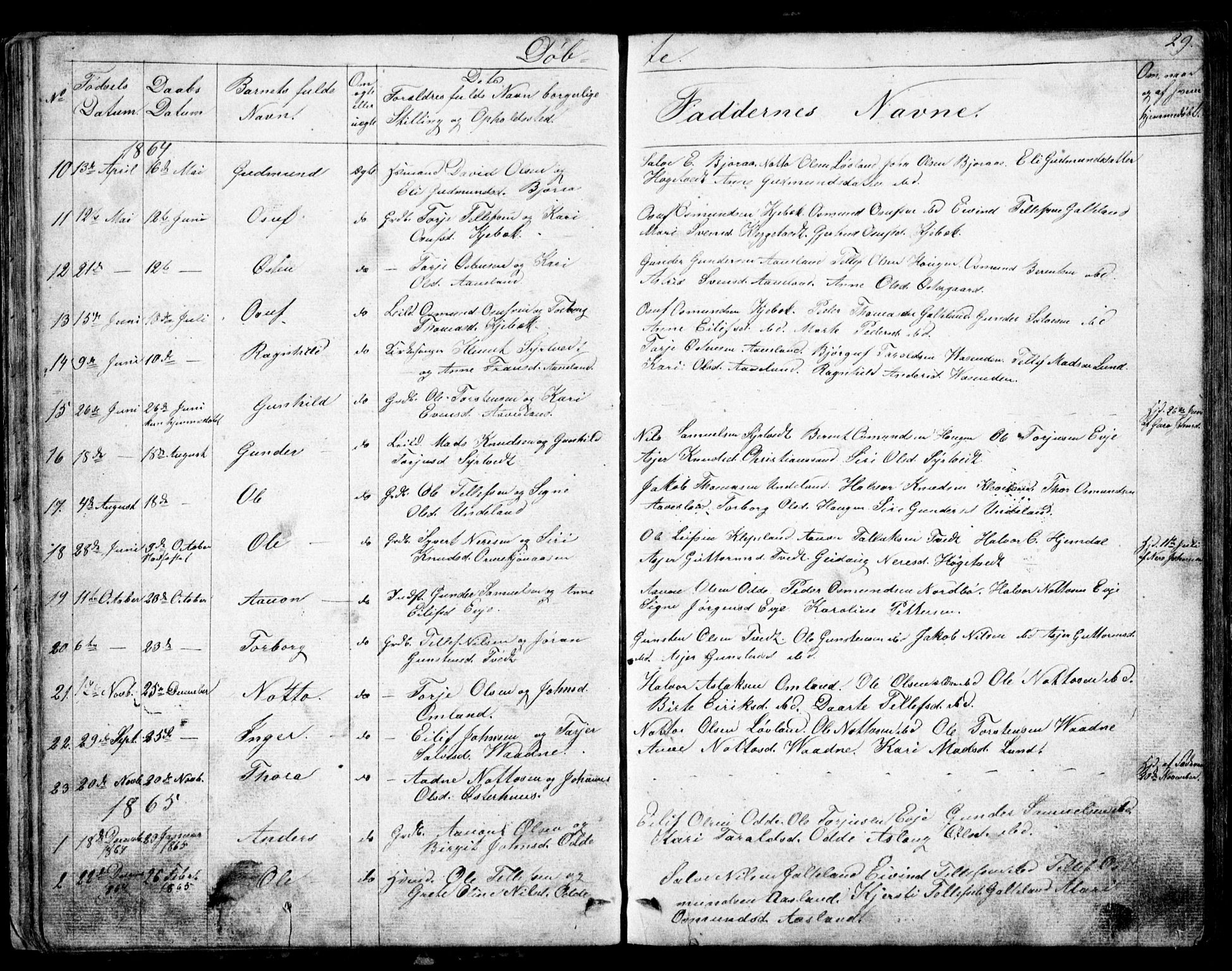 Evje sokneprestkontor, SAK/1111-0008/F/Fb/Fba/L0002: Parish register (copy) no. B 2, 1849-1896, p. 29