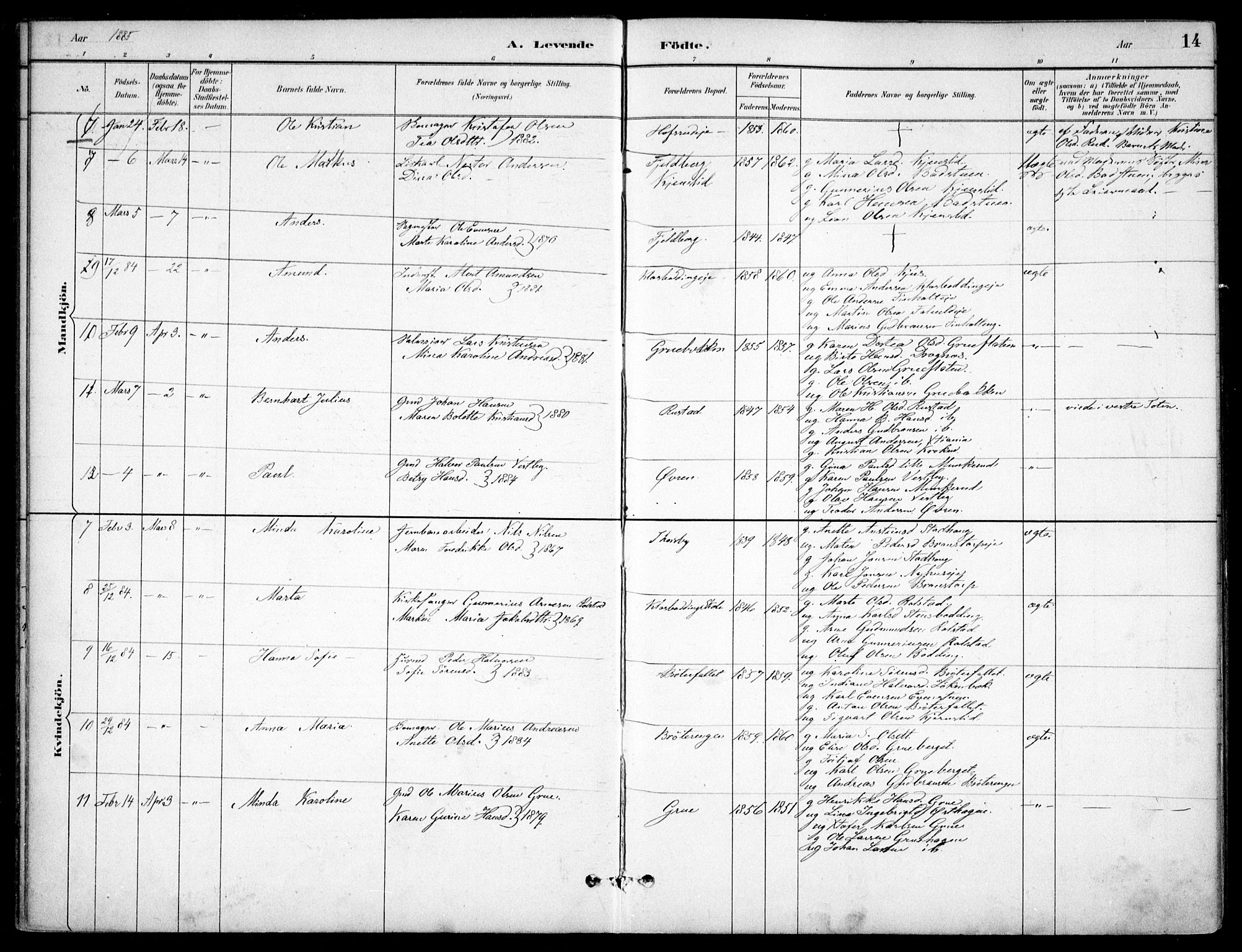 Nes prestekontor Kirkebøker, AV/SAO-A-10410/F/Fc/L0002: Parish register (official) no. IIi 2, 1882-1916, p. 14