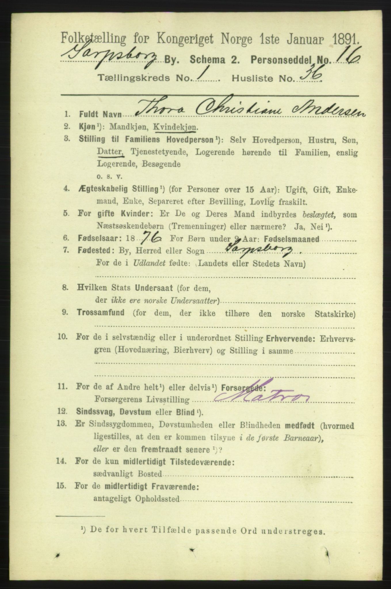 RA, 1891 census for 0102 Sarpsborg, 1891, p. 539