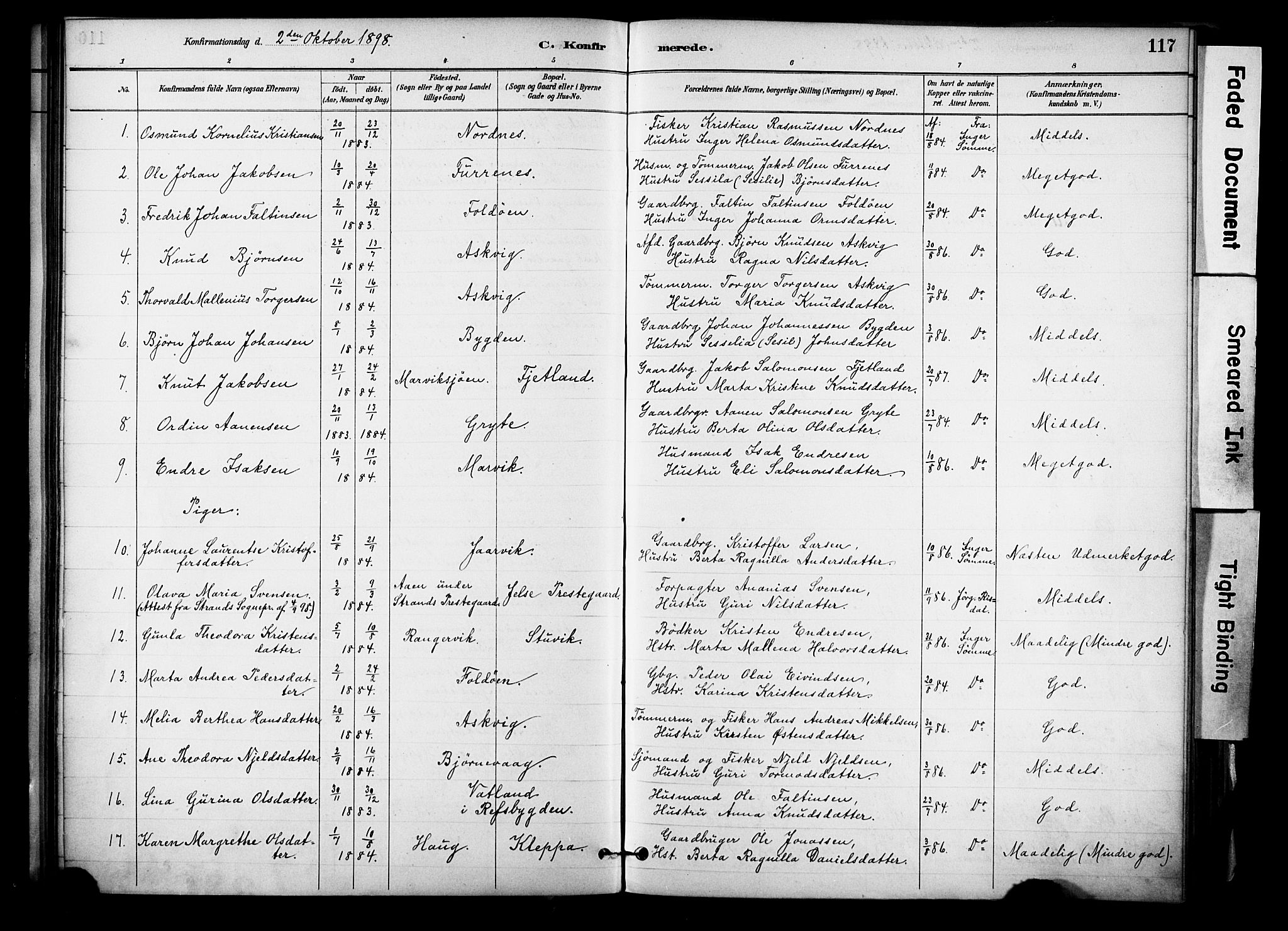 Jelsa sokneprestkontor, SAST/A-101842/01/IV: Parish register (official) no. A 10, 1884-1906, p. 117
