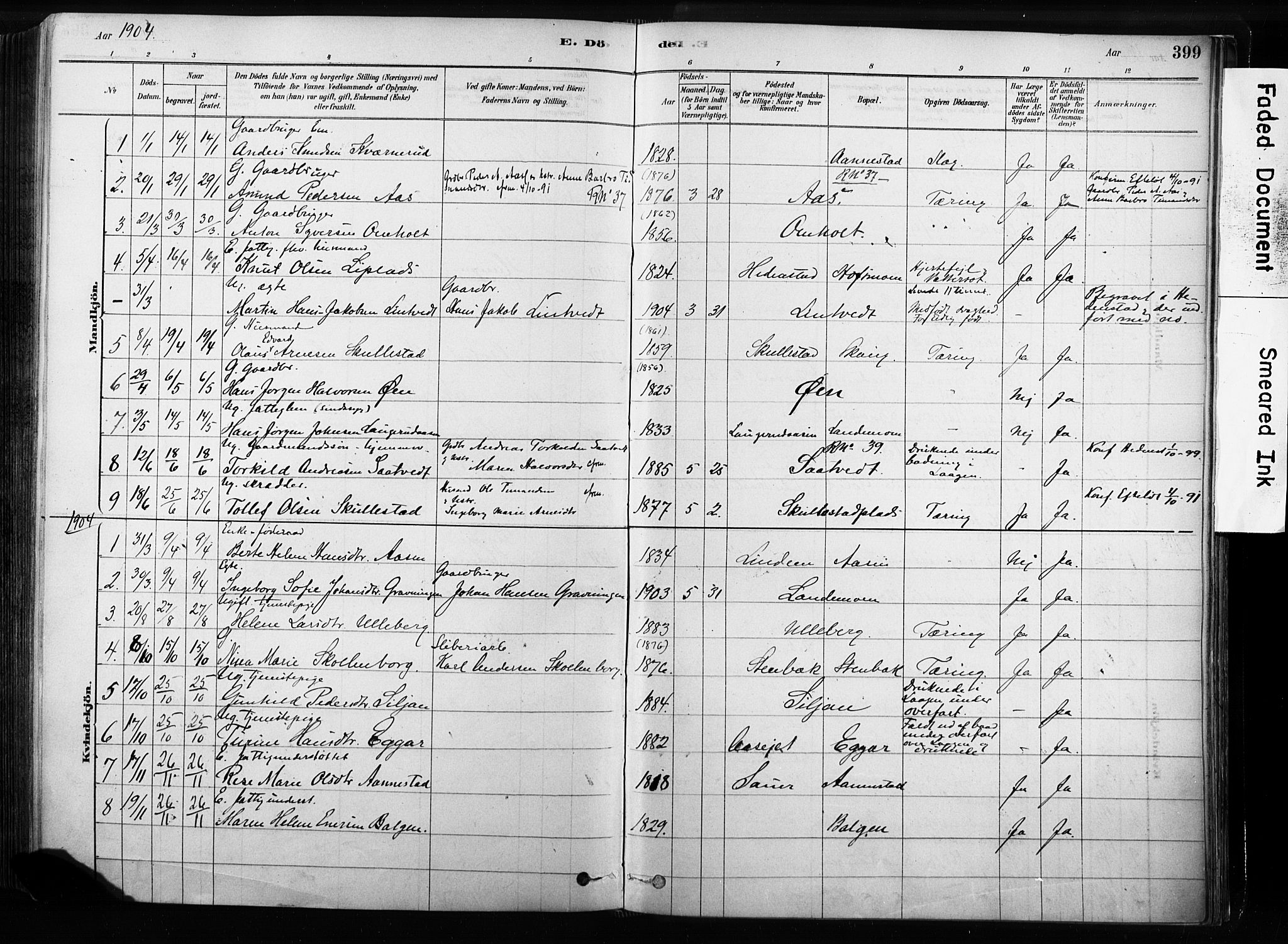 Sandsvær kirkebøker, SAKO/A-244/F/Fb/L0001: Parish register (official) no. II 1, 1878-1906, p. 399