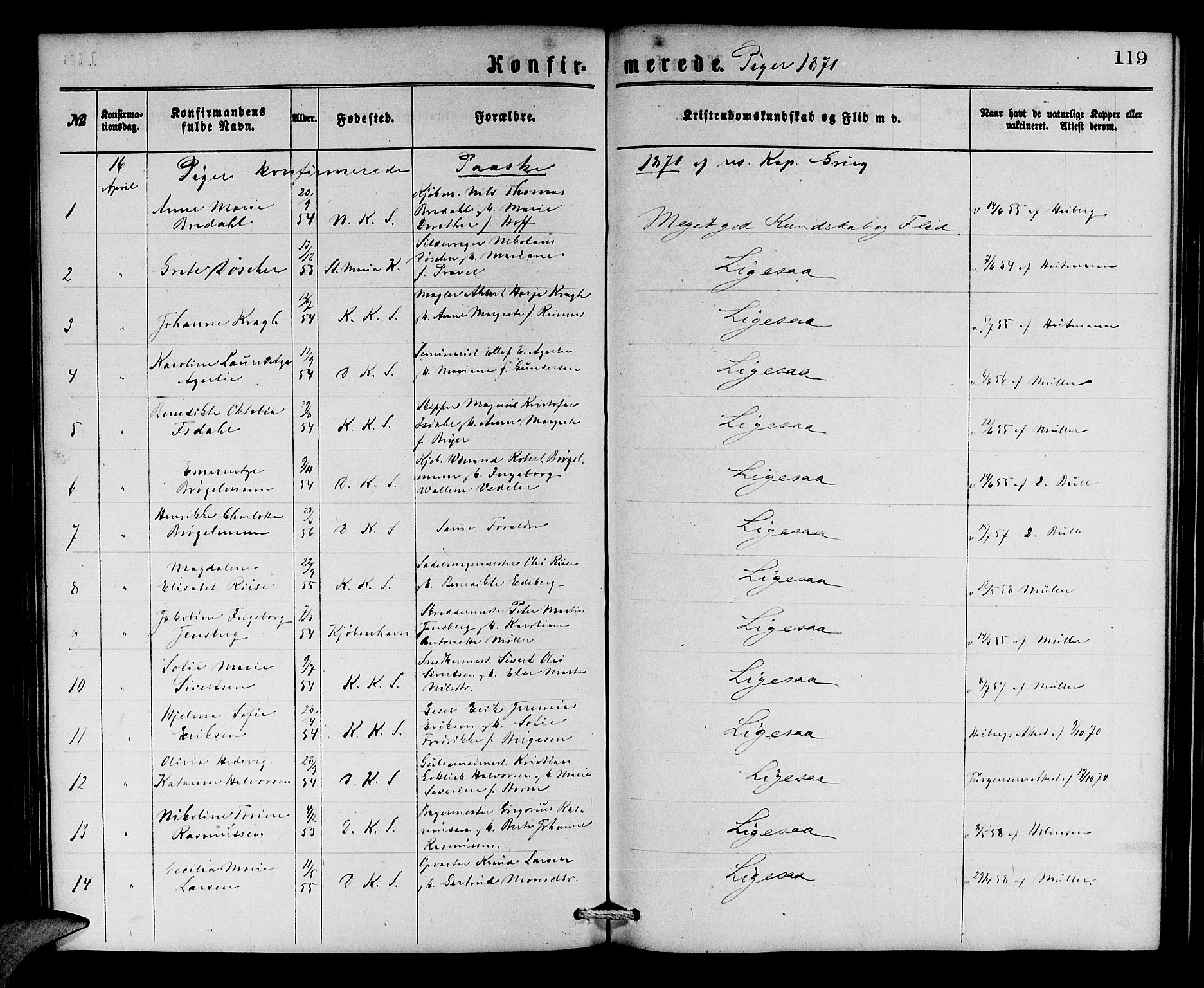 Korskirken sokneprestembete, SAB/A-76101/H/Hab: Parish register (copy) no. C 2, 1869-1879, p. 119