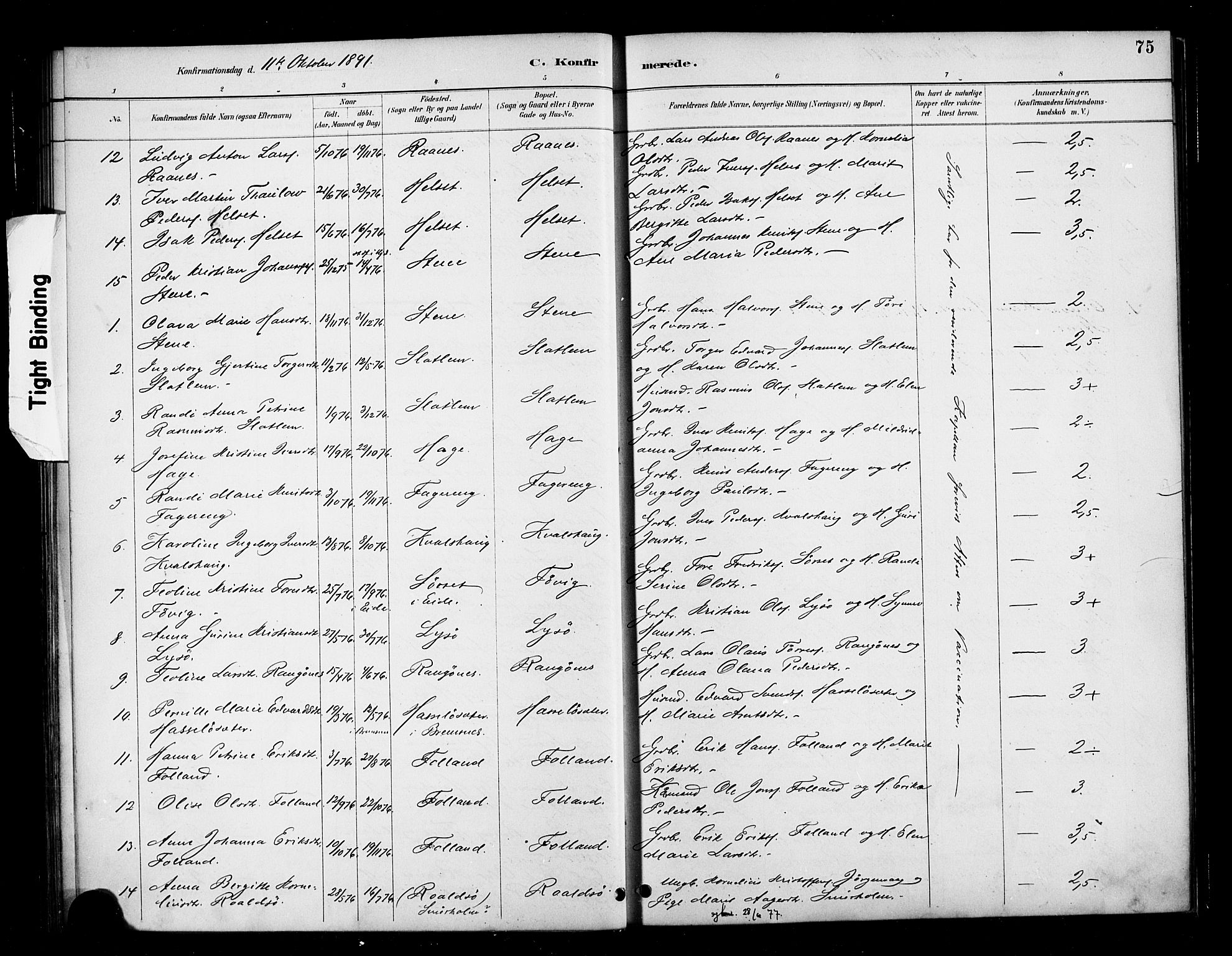 Ministerialprotokoller, klokkerbøker og fødselsregistre - Møre og Romsdal, AV/SAT-A-1454/570/L0832: Parish register (official) no. 570A06, 1885-1900, p. 75