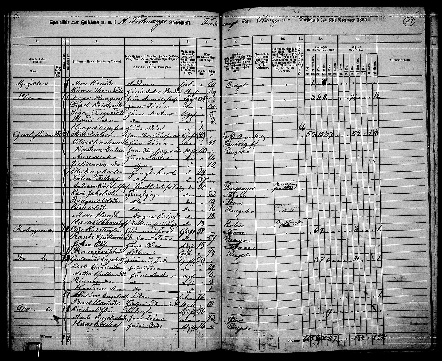 RA, 1865 census for Ringebu, 1865, p. 134