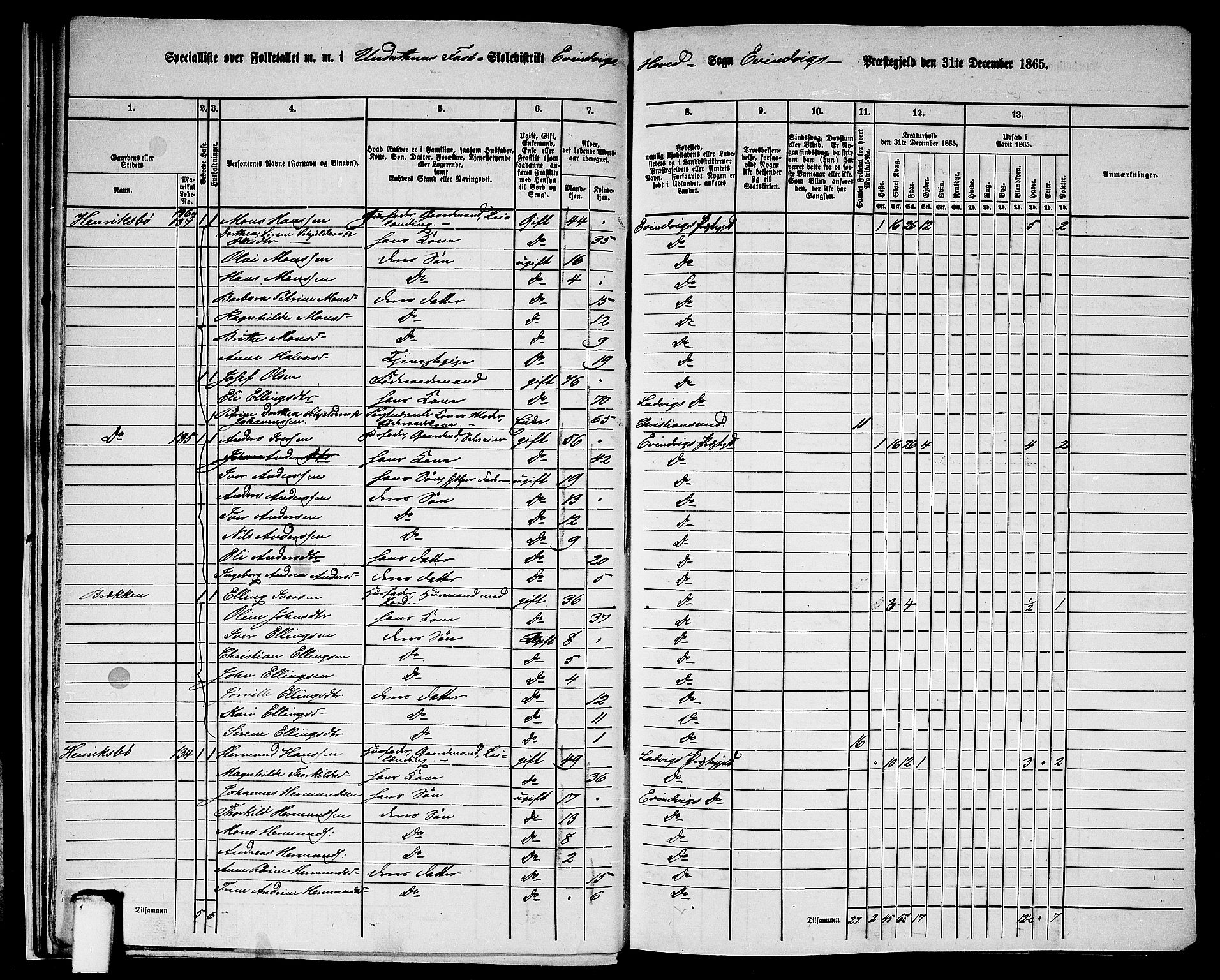 RA, 1865 census for Eivindvik, 1865, p. 22