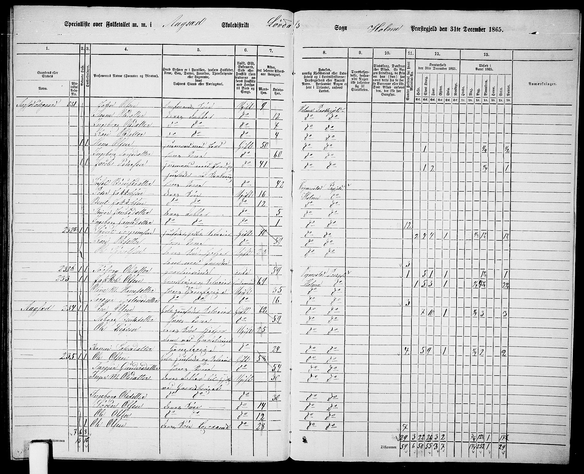 RA, 1865 census for Holum, 1865, p. 174