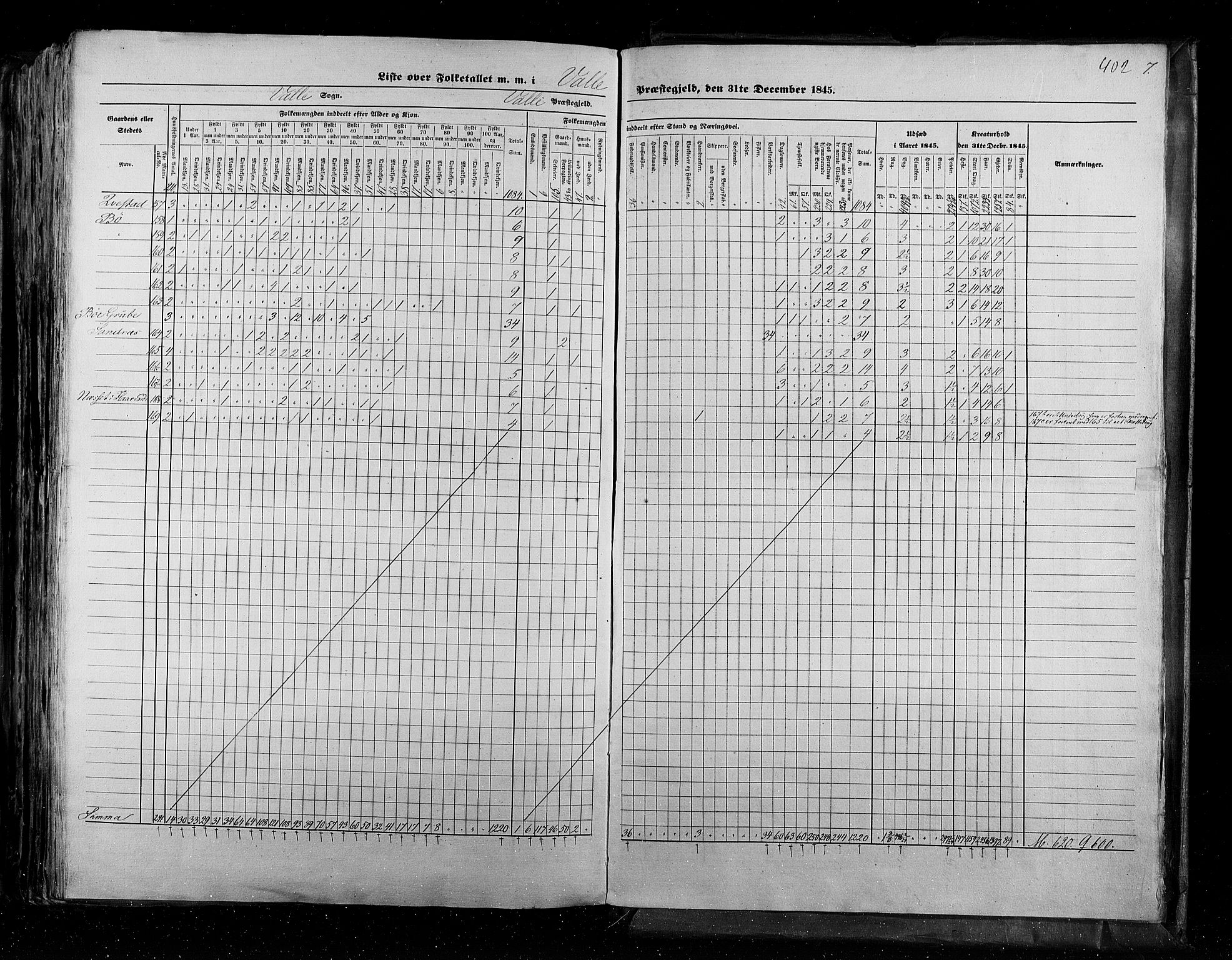 RA, Census 1845, vol. 5: Bratsberg amt og Nedenes og Råbyggelaget amt, 1845, p. 402