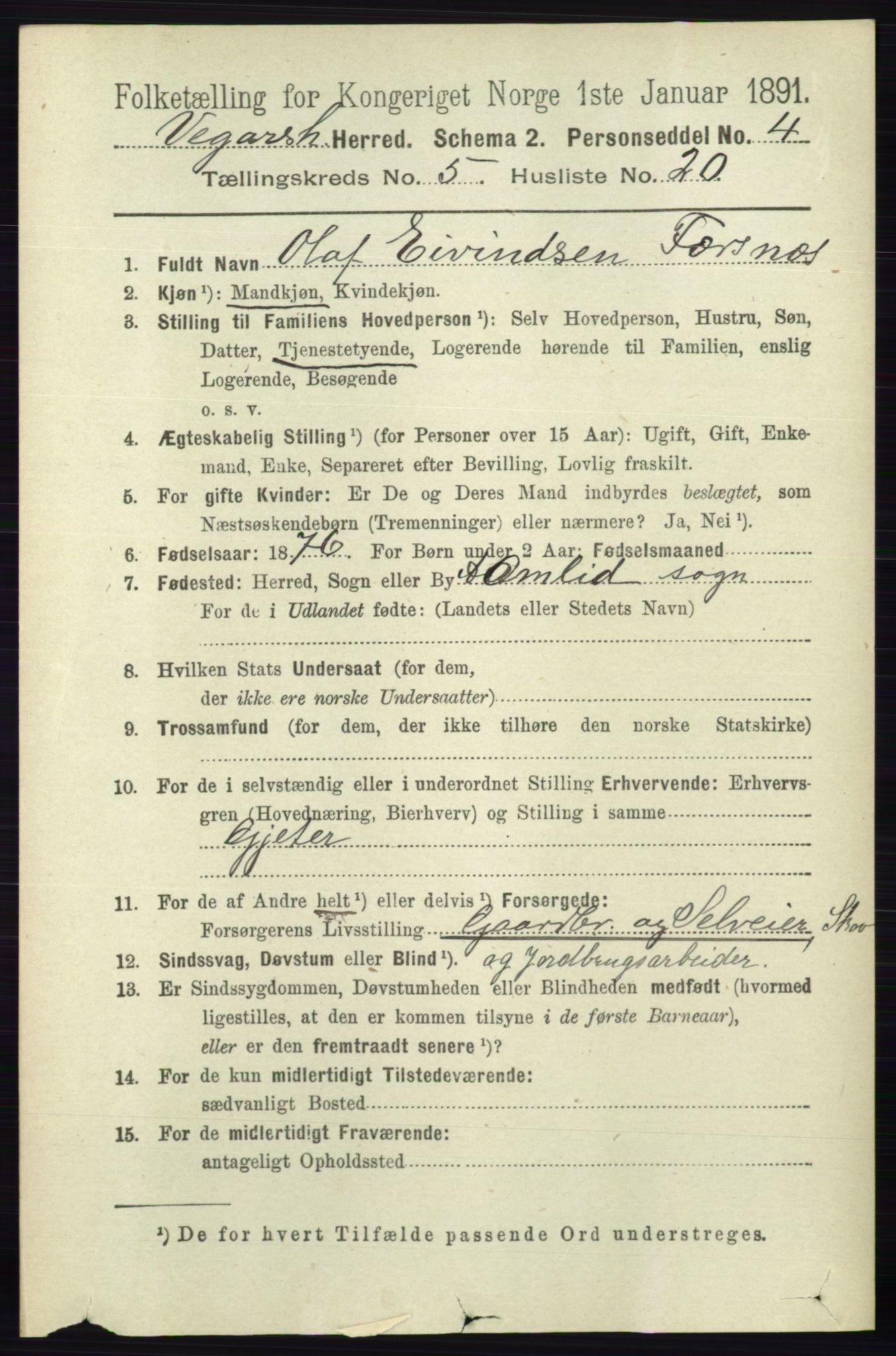 RA, 1891 census for 0912 Vegårshei, 1891, p. 1117