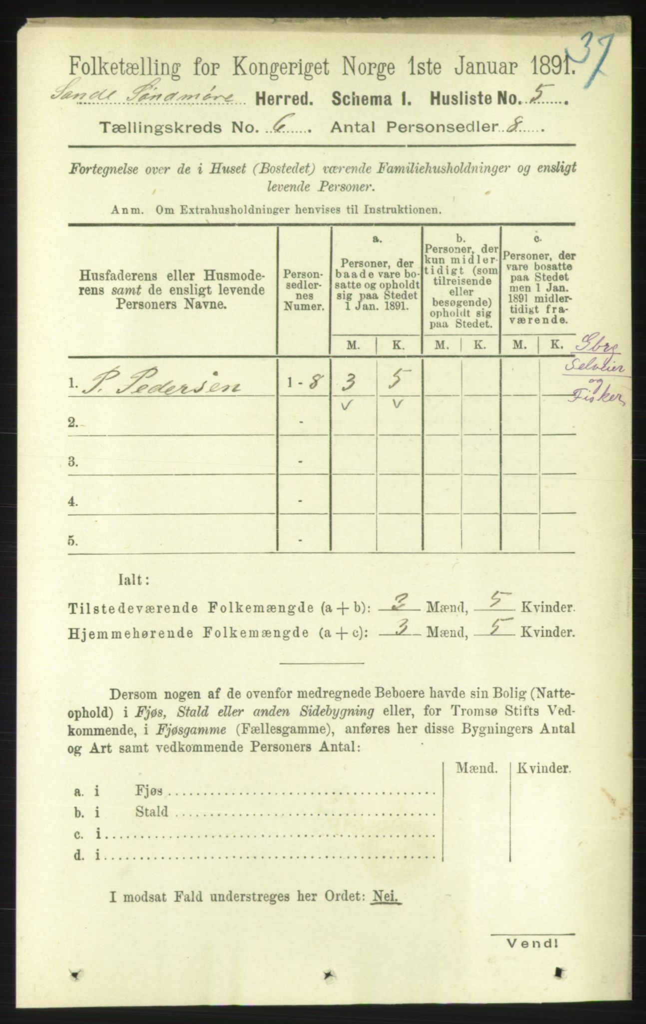 RA, 1891 census for 1514 Sande, 1891, p. 995