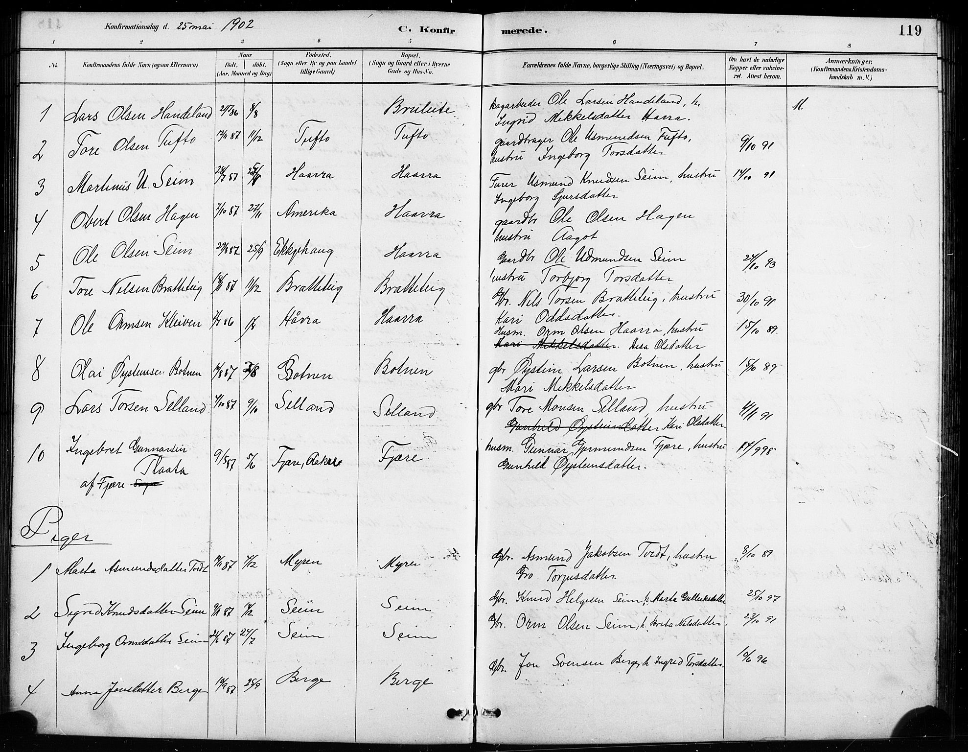 Røldal sokneprestembete, SAB/A-100247: Parish register (copy) no. A 3, 1887-1917, p. 119