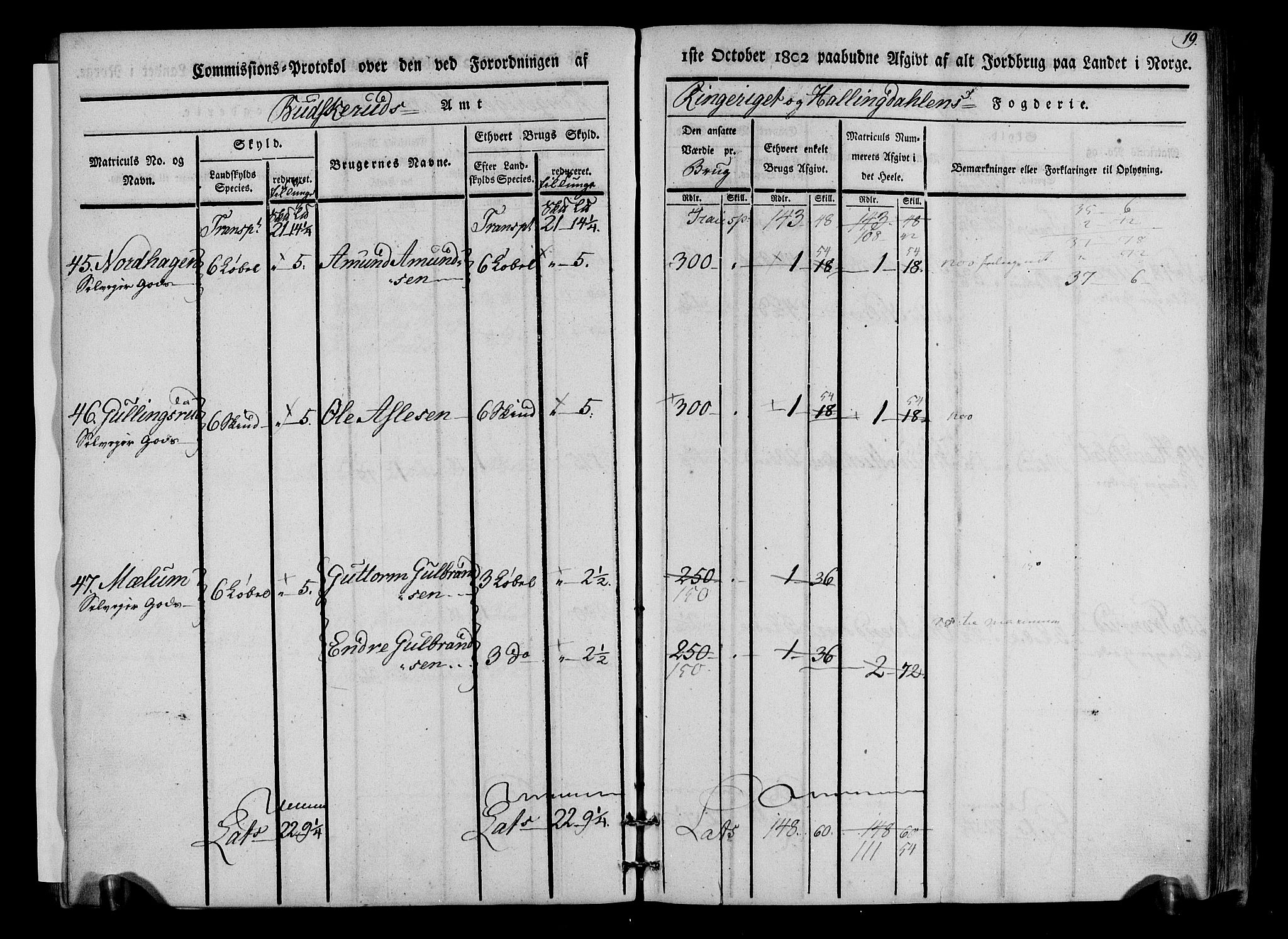 Rentekammeret inntil 1814, Realistisk ordnet avdeling, AV/RA-EA-4070/N/Ne/Nea/L0047: Ringerike og Hallingdal fogderi. Kommisjonsprotokoll for Nes prestegjeld, 1803, p. 20