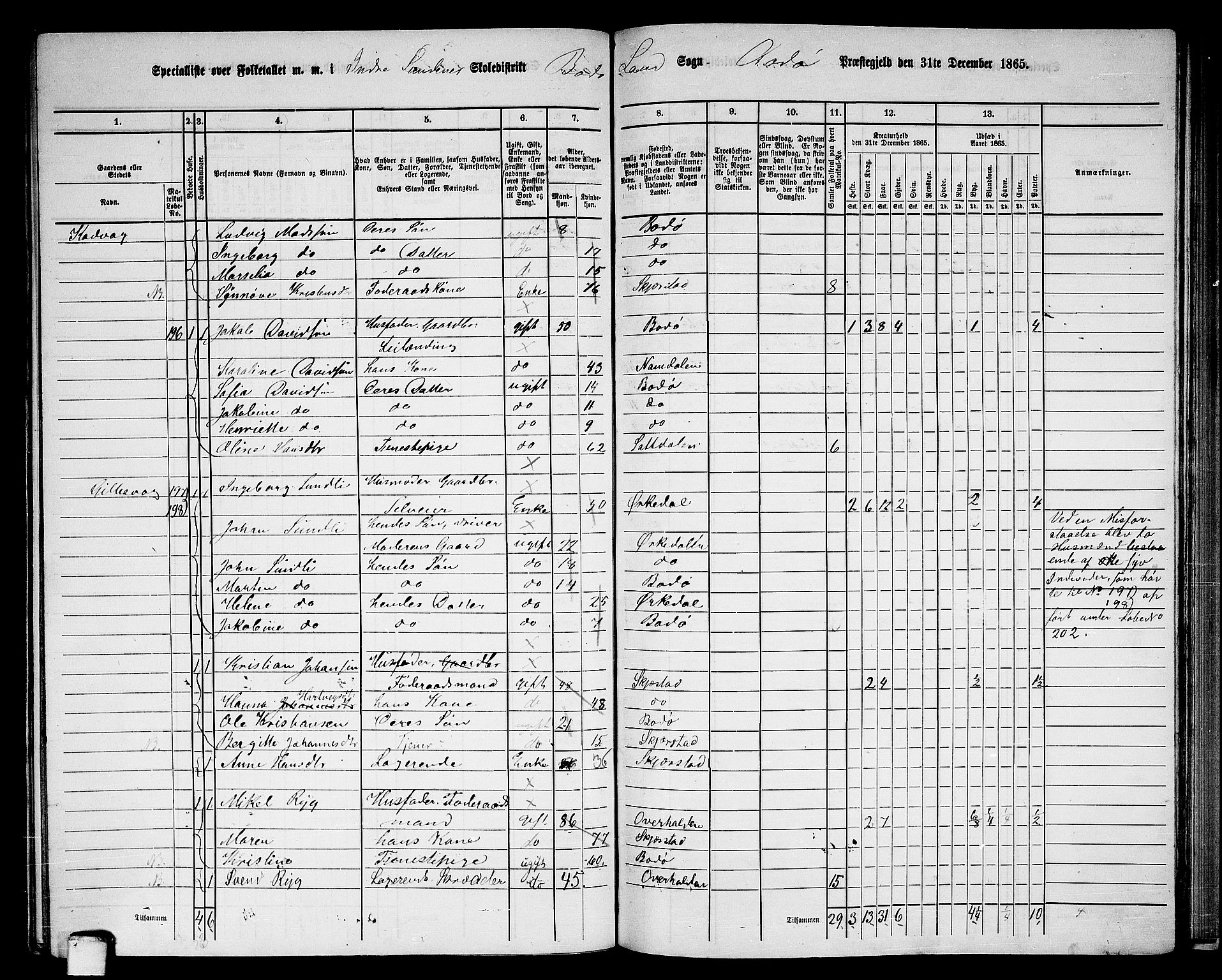 RA, 1865 census for Bodø/Bodø, 1865, p. 119