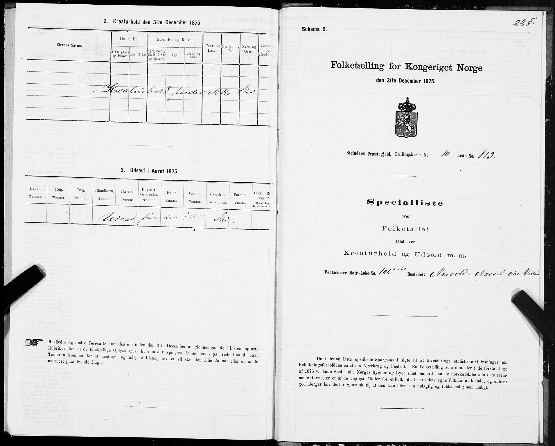 SAT, 1875 census for 1660P Strinda, 1875, p. 6225