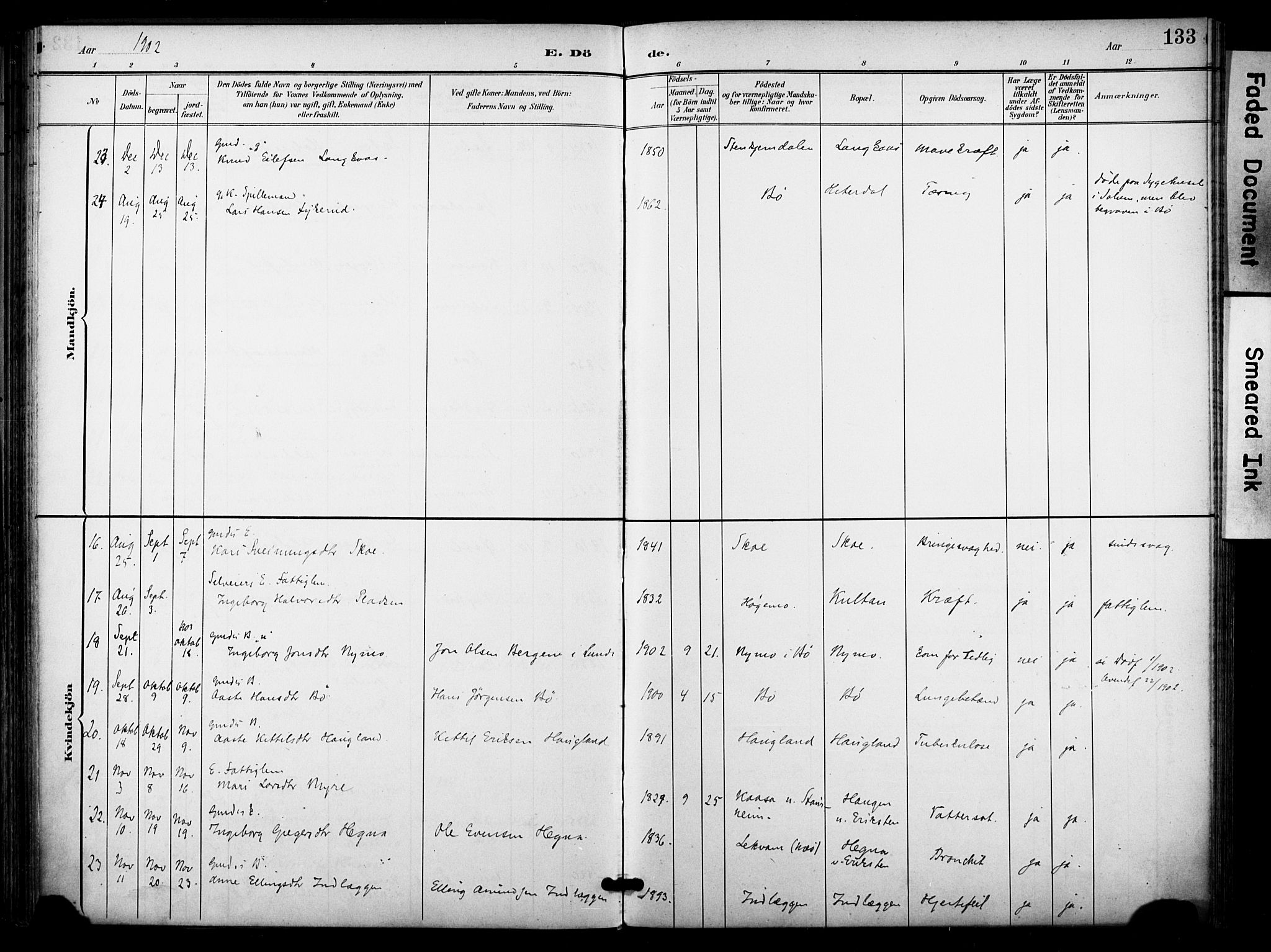Bø kirkebøker, SAKO/A-257/F/Fa/L0012: Parish register (official) no. 12, 1900-1908, p. 133