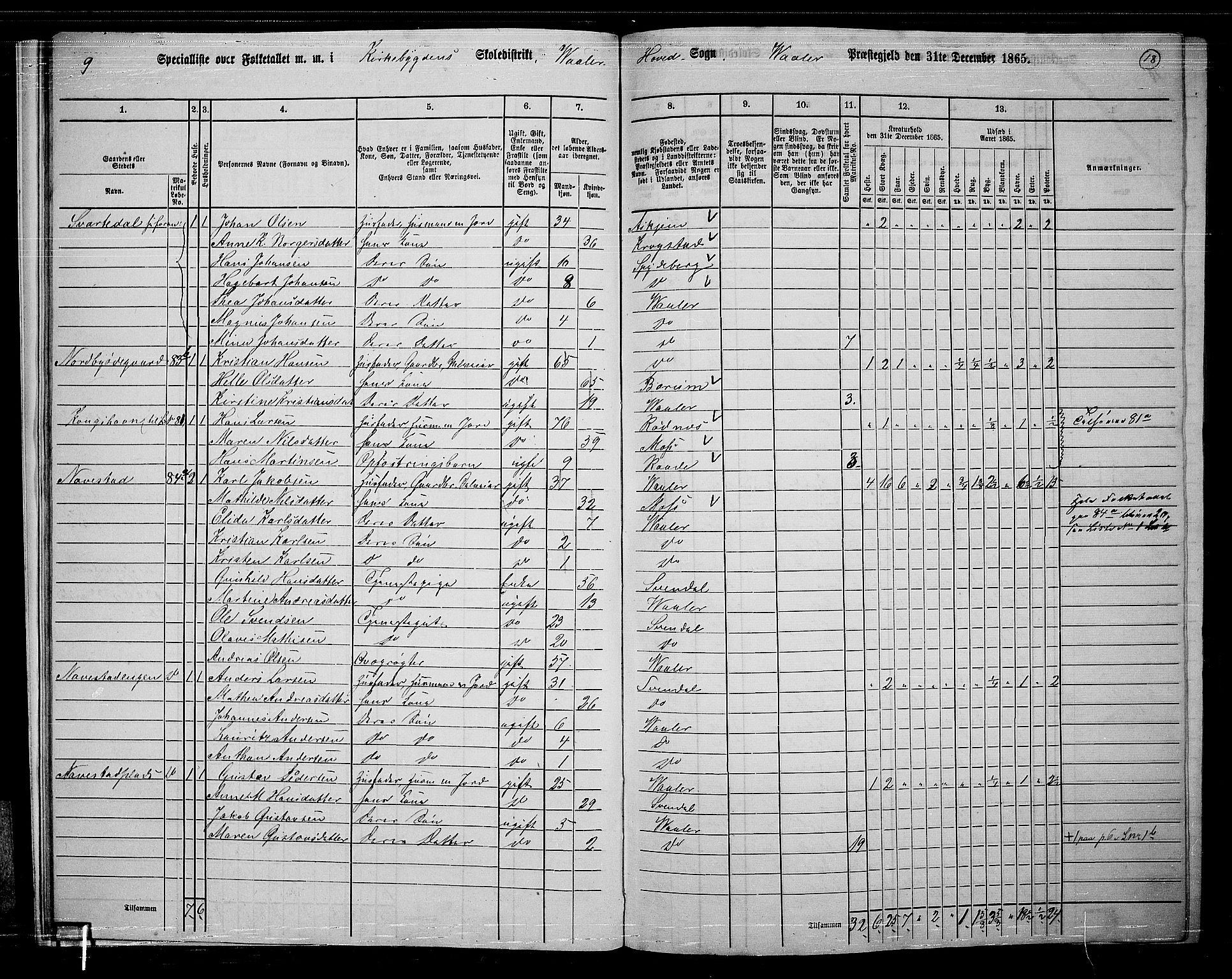 RA, 1865 census for Våler, 1865, p. 19