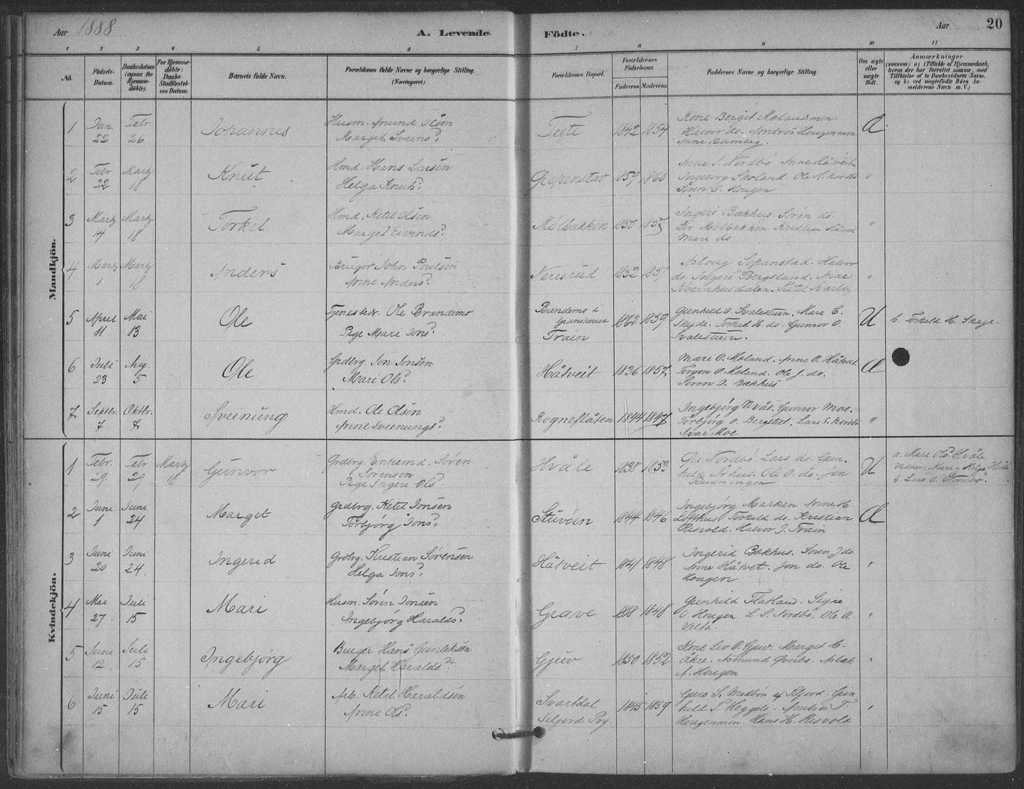 Hjartdal kirkebøker, AV/SAKO-A-270/F/Fa/L0010: Parish register (official) no. I 10, 1880-1929, p. 20