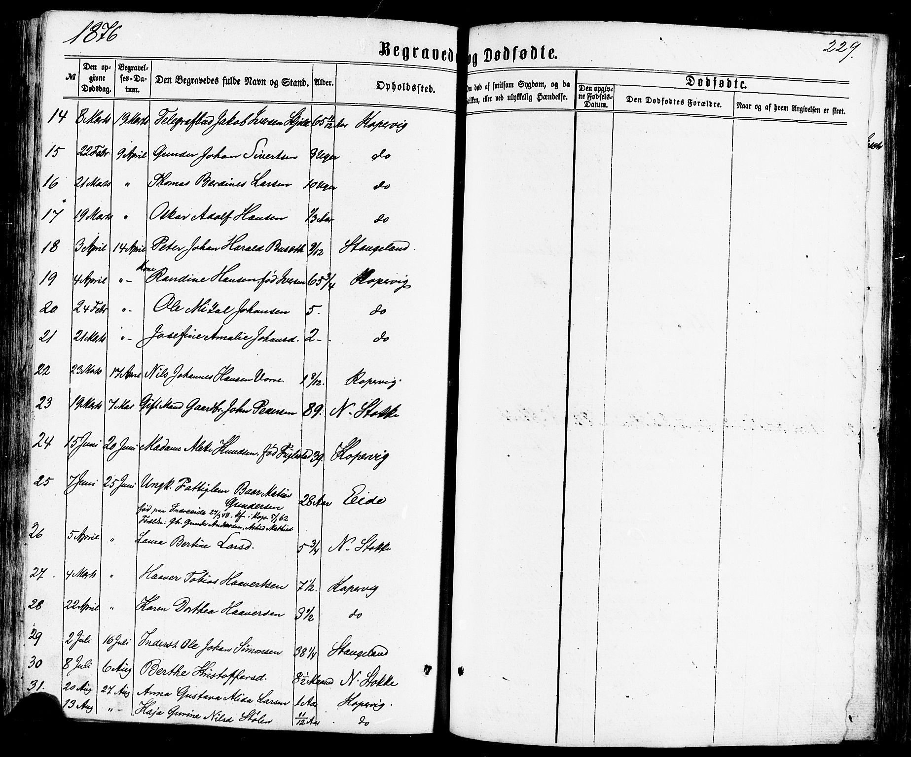 Avaldsnes sokneprestkontor, SAST/A -101851/H/Ha/Haa/L0011: Parish register (official) no. A 11, 1861-1880, p. 229