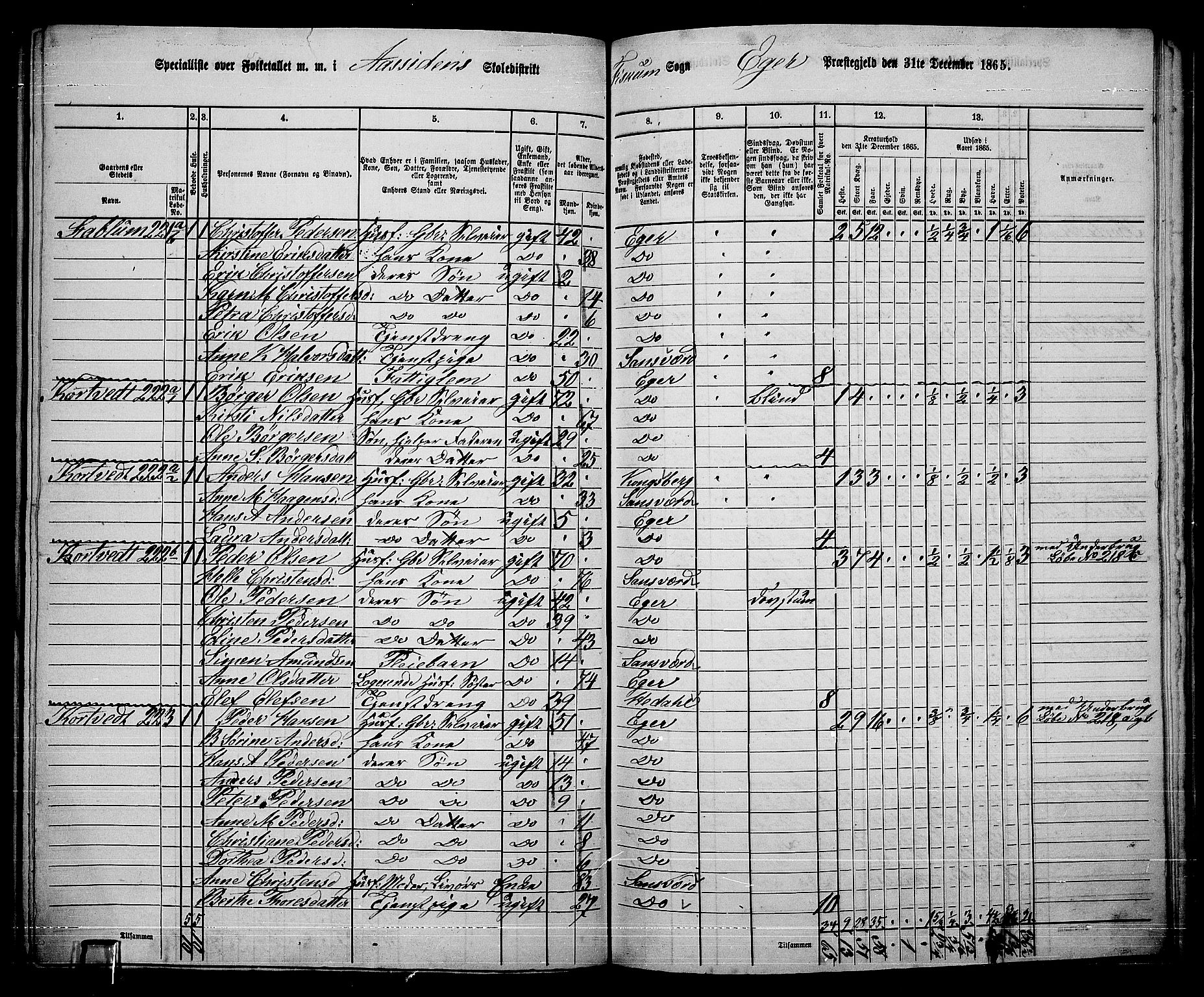 RA, 1865 census for Eiker, 1865, p. 498