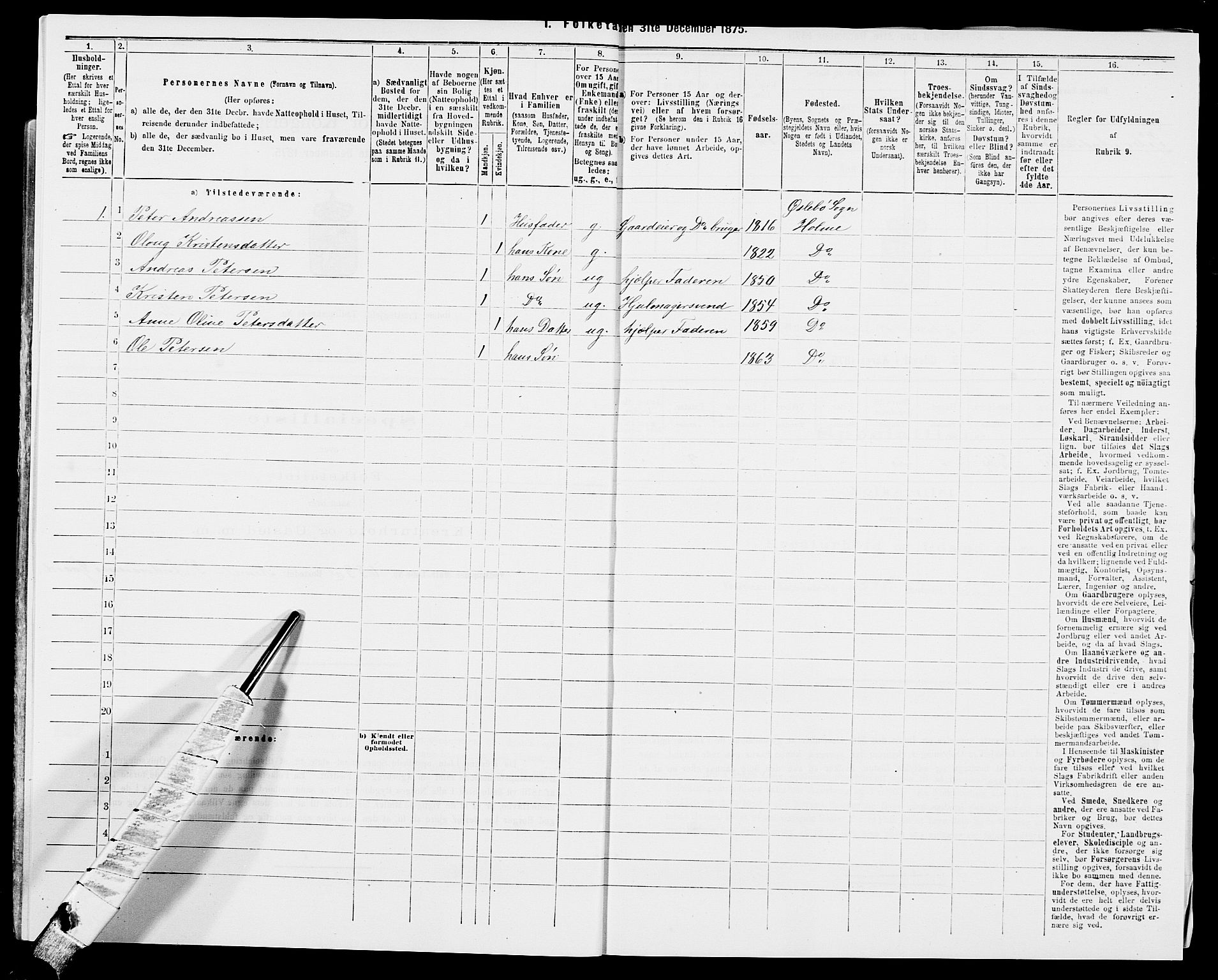 SAK, 1875 census for 1020P Holum, 1875, p. 731