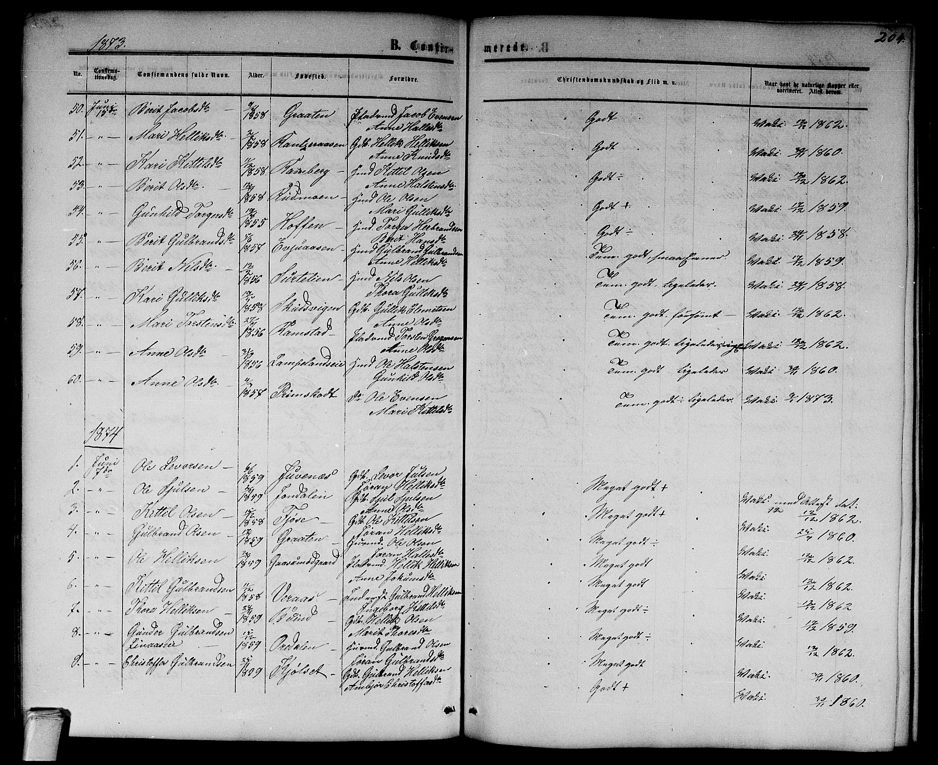Flesberg kirkebøker, SAKO/A-18/G/Ga/L0003: Parish register (copy) no. I 3, 1861-1889, p. 204