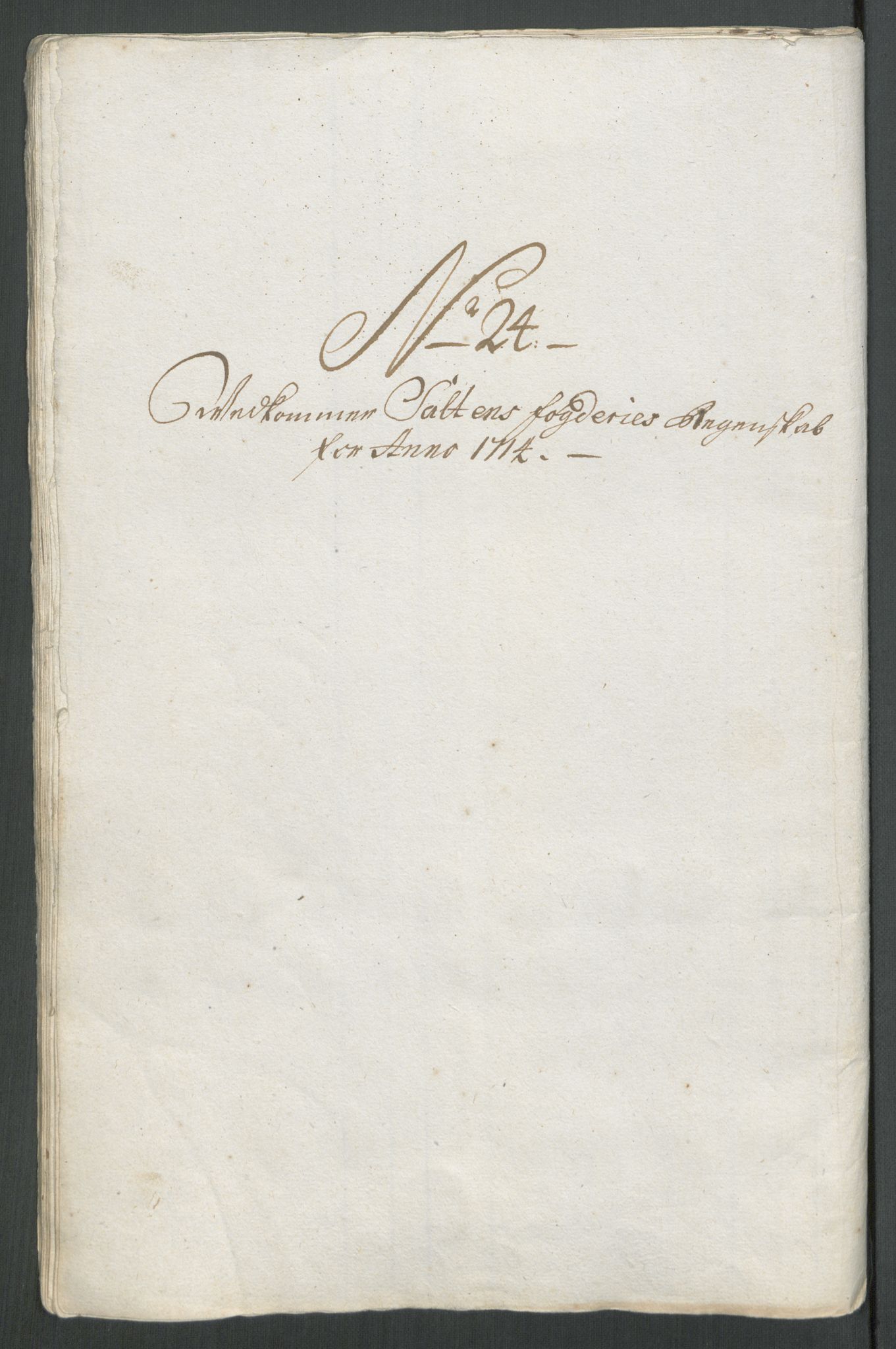 Rentekammeret inntil 1814, Reviderte regnskaper, Fogderegnskap, AV/RA-EA-4092/R66/L4584: Fogderegnskap Salten, 1714, p. 228