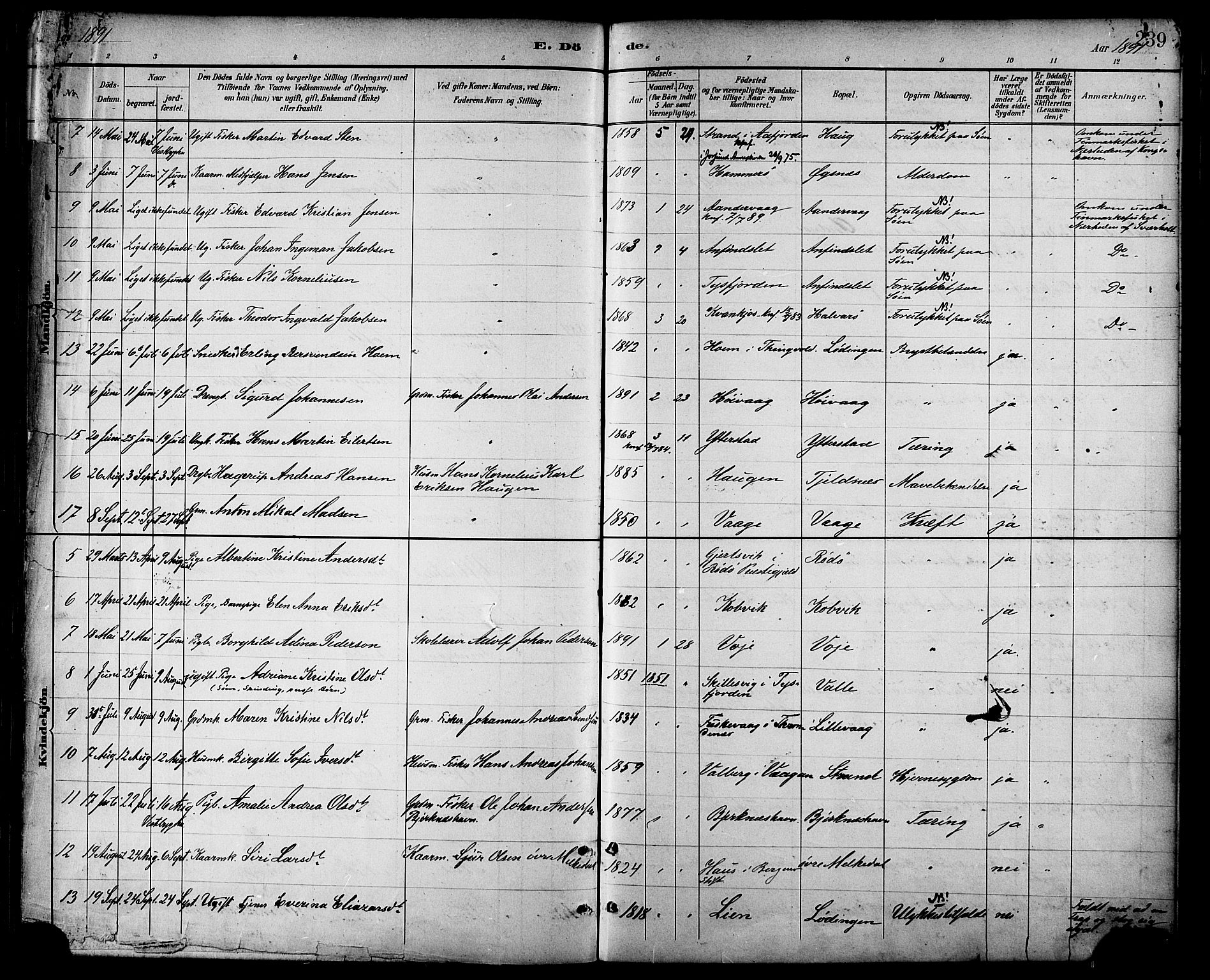 Ministerialprotokoller, klokkerbøker og fødselsregistre - Nordland, AV/SAT-A-1459/872/L1035: Parish register (official) no. 872A10, 1884-1896, p. 239