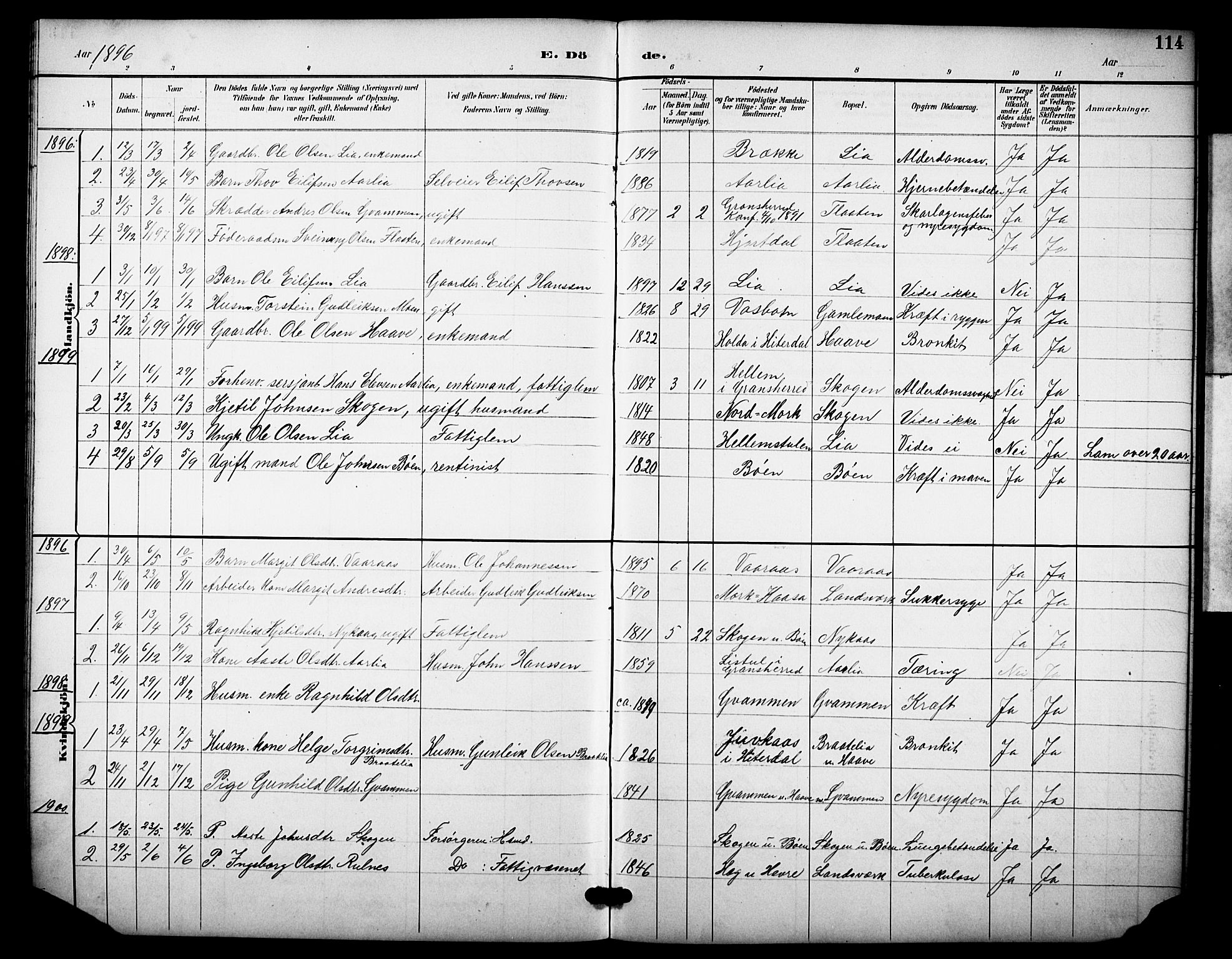 Heddal kirkebøker, SAKO/A-268/F/Fb/L0001: Parish register (official) no. II 1, 1884-1910, p. 114