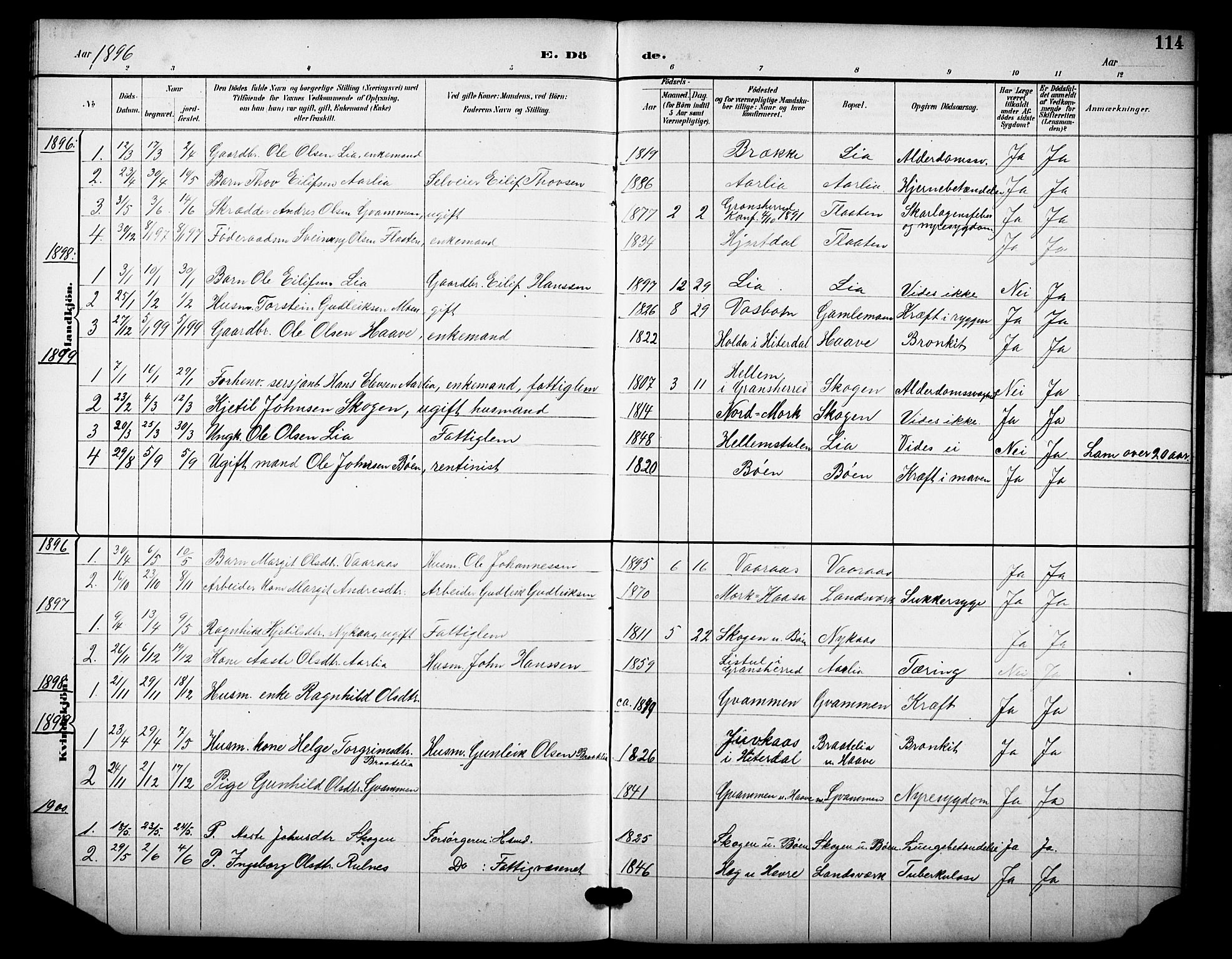 Heddal kirkebøker, AV/SAKO-A-268/F/Fb/L0001: Parish register (official) no. II 1, 1884-1910, p. 114