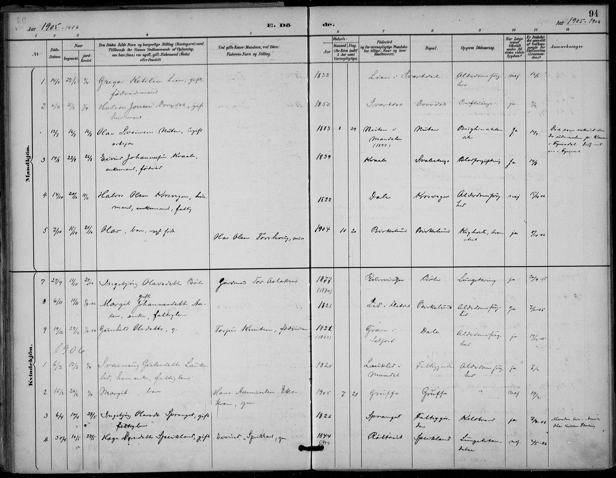 Seljord kirkebøker, SAKO/A-20/F/Fb/L0002: Parish register (official) no. II 2, 1887-1917, p. 94