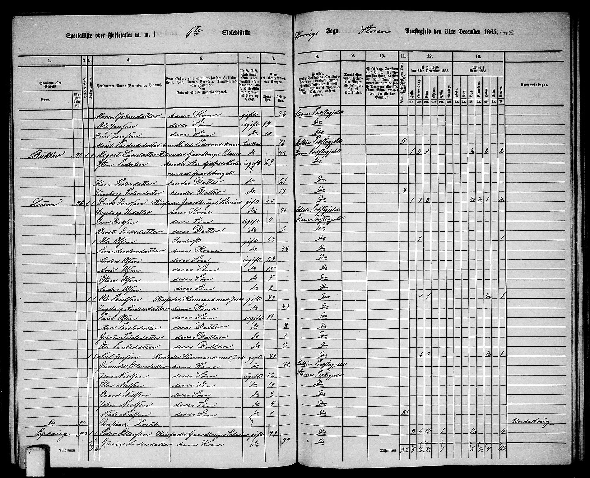 RA, 1865 census for Støren, 1865, p. 211