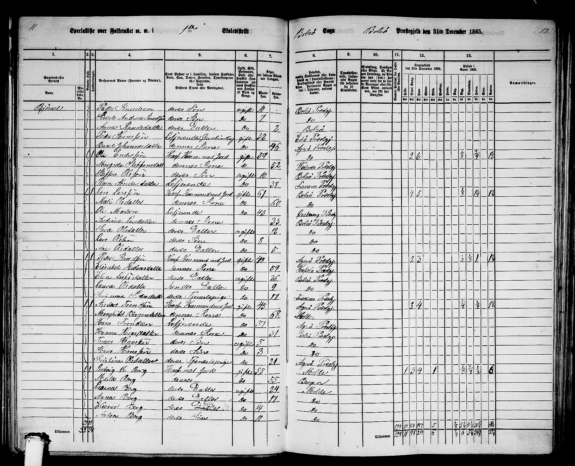 RA, 1865 census for Bolsøy, 1865, p. 13