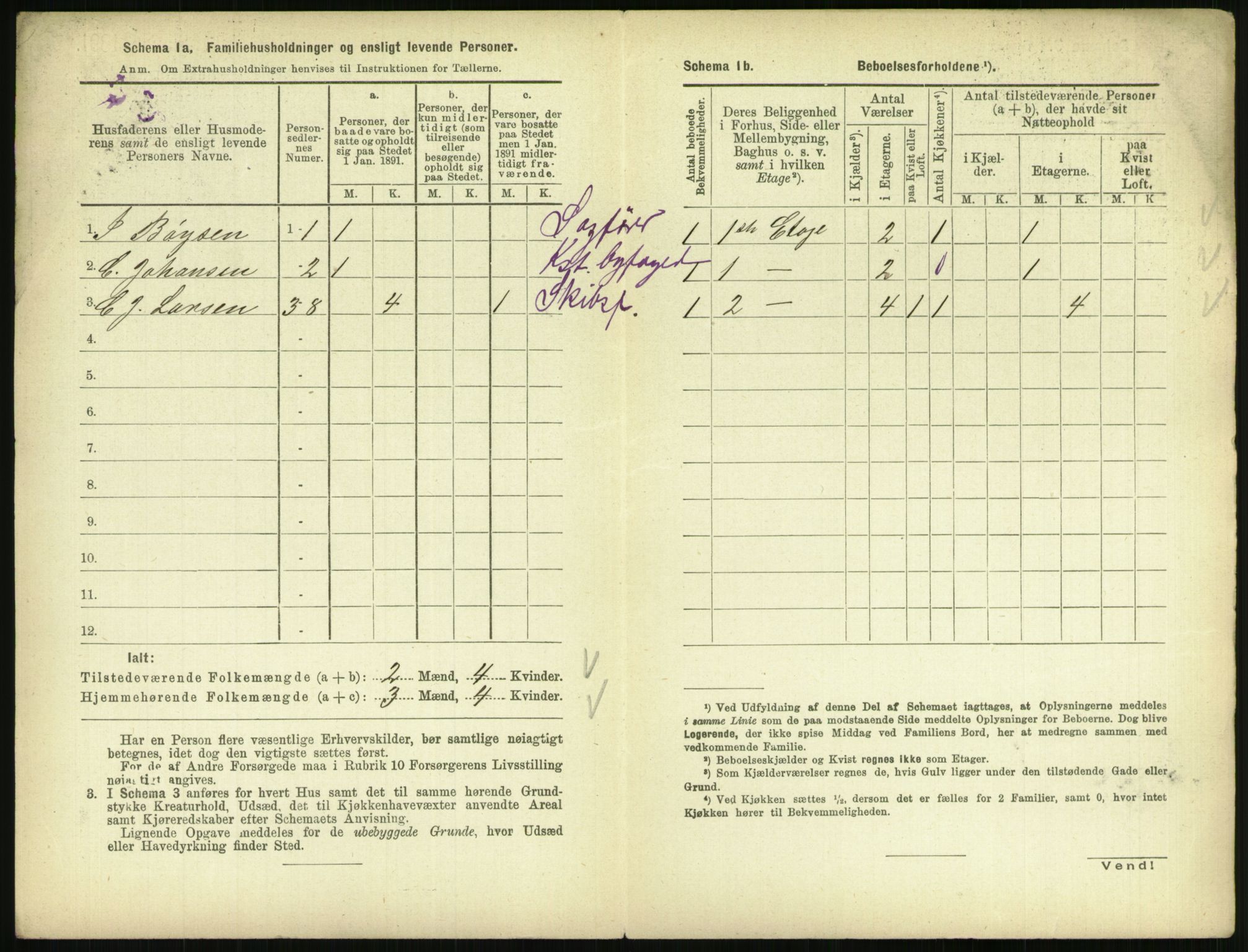 RA, 1891 census for 0804 Brevik, 1891, p. 496