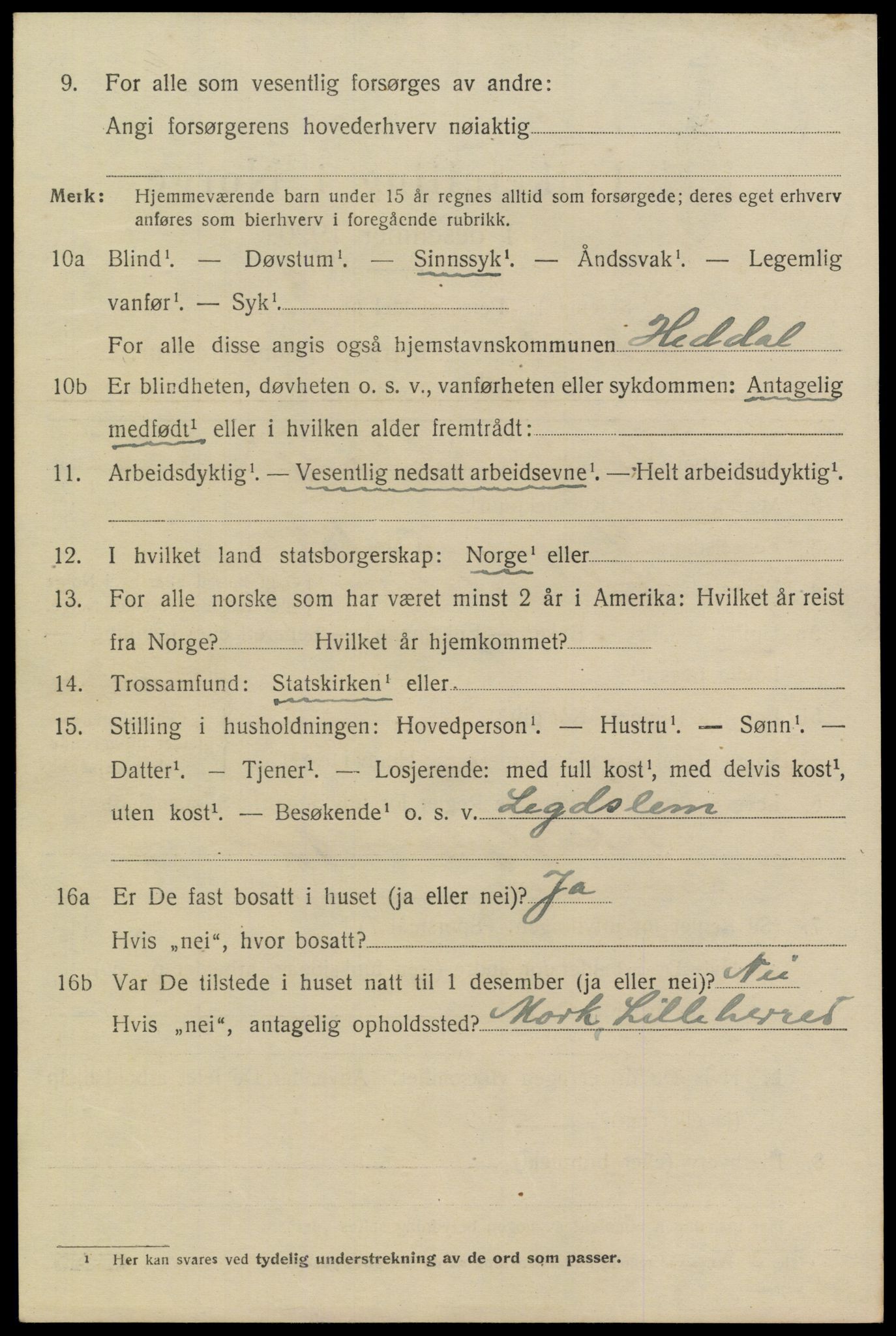 SAKO, 1920 census for Heddal, 1920, p. 4565