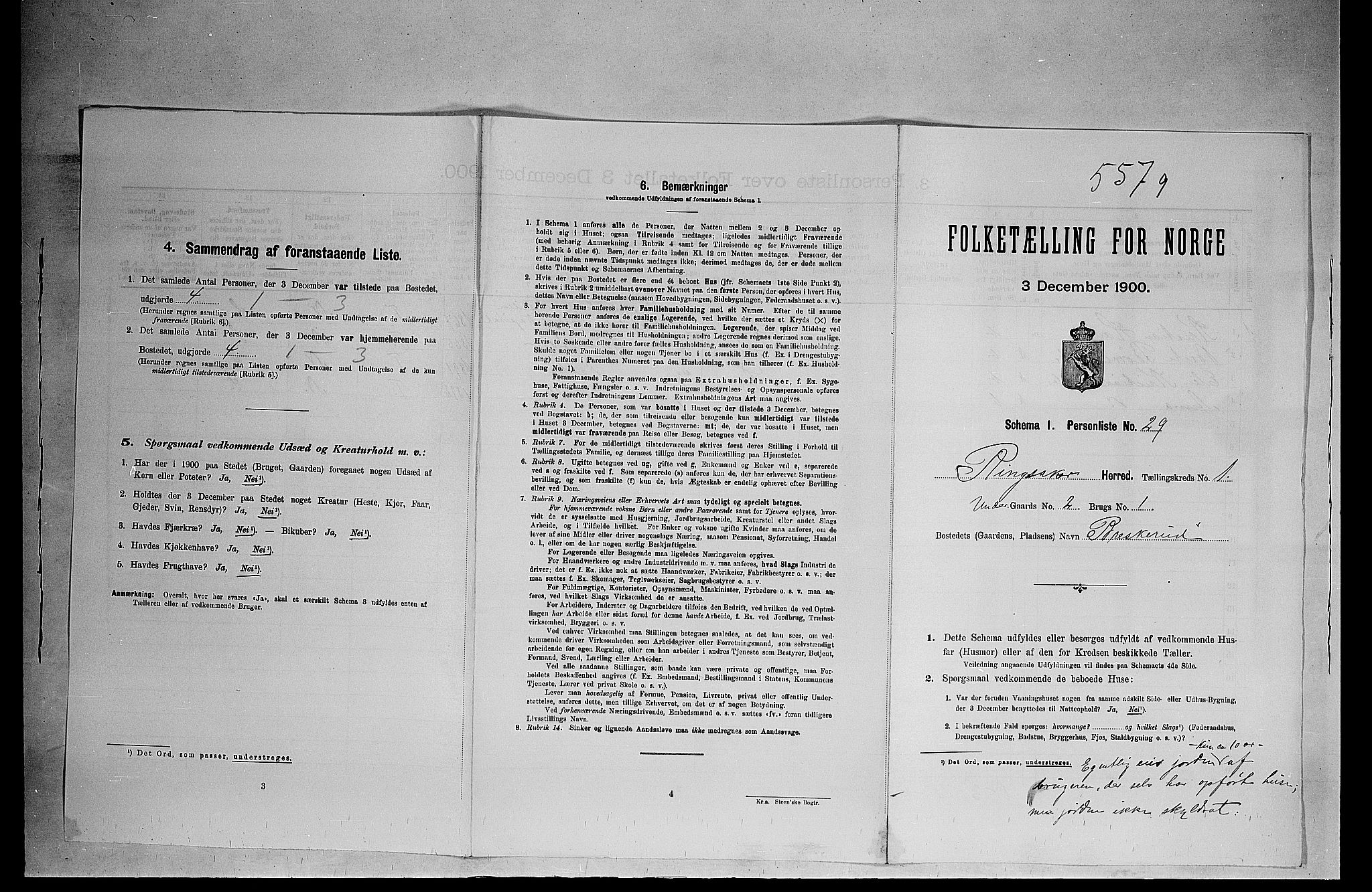 SAH, 1900 census for Ringsaker, 1900, p. 393