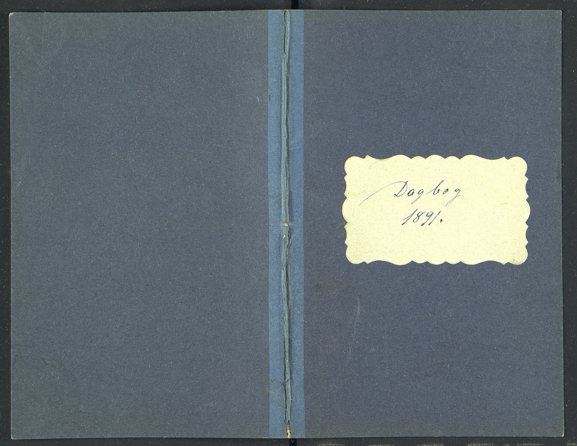 Familien Aalls privatarkiv , NESJ/NJM-005/E-00003/L0001/0003/0020: Dag- og notatbøker / Dølner dagbokpakke 001, 1891