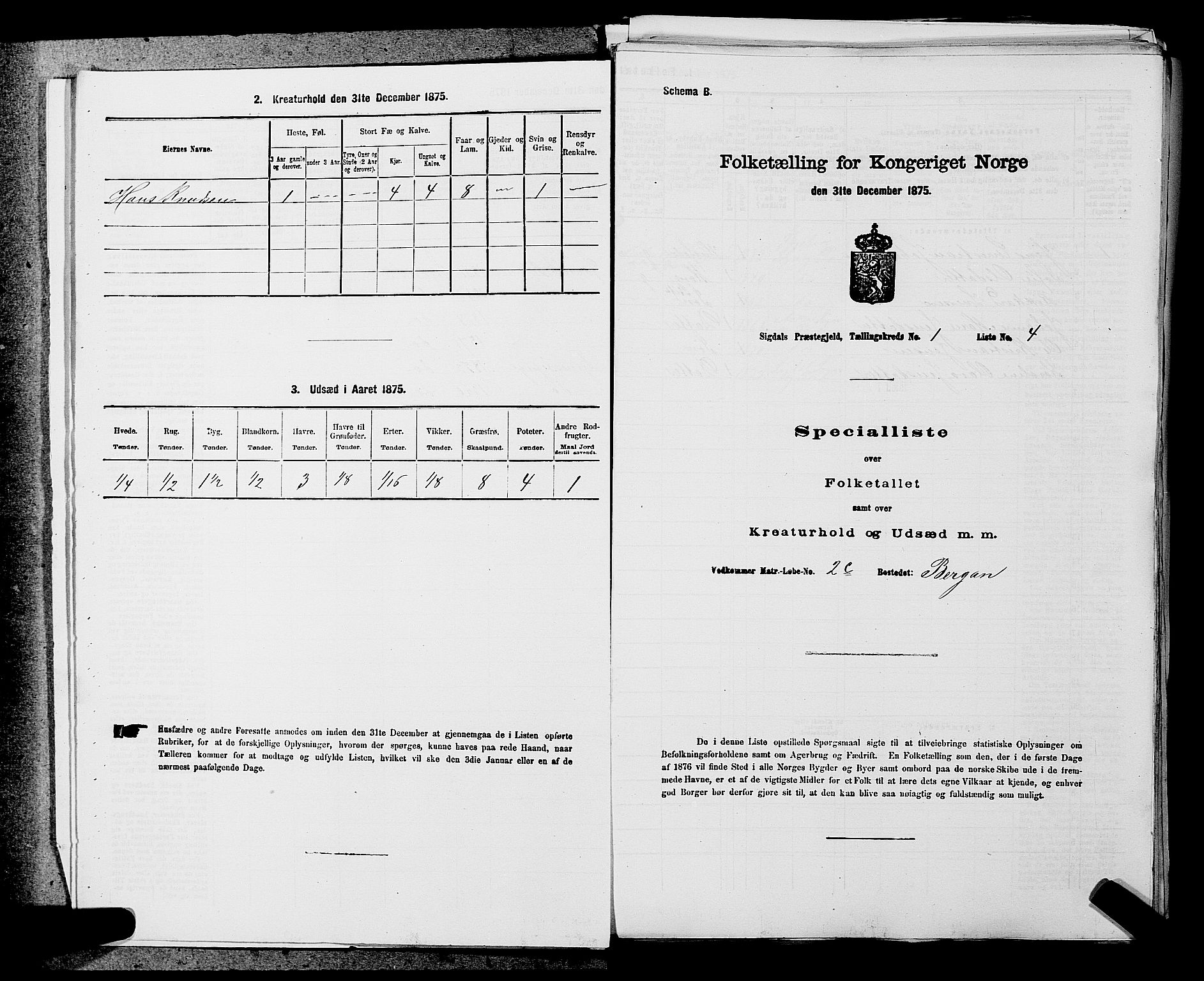 SAKO, 1875 census for 0621P Sigdal, 1875, p. 86