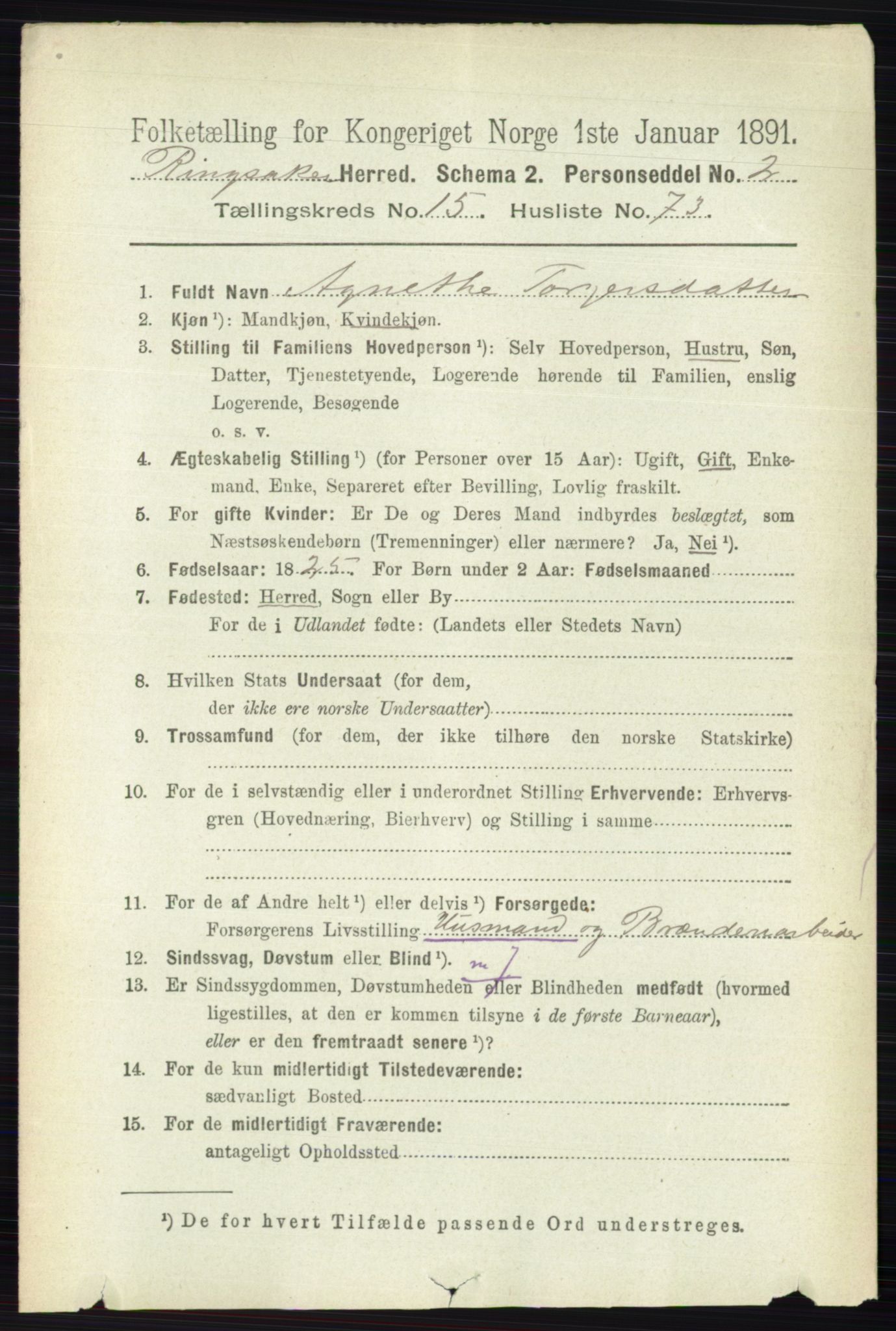RA, 1891 census for 0412 Ringsaker, 1891, p. 8926