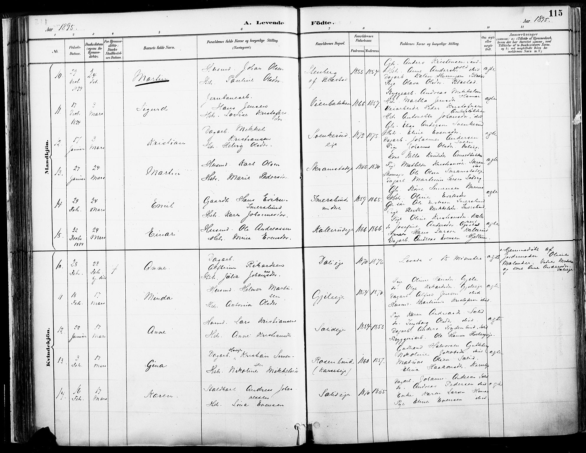 Vang prestekontor, Hedmark, AV/SAH-PREST-008/H/Ha/Haa/L0019A: Parish register (official) no. 19, 1886-1900, p. 115