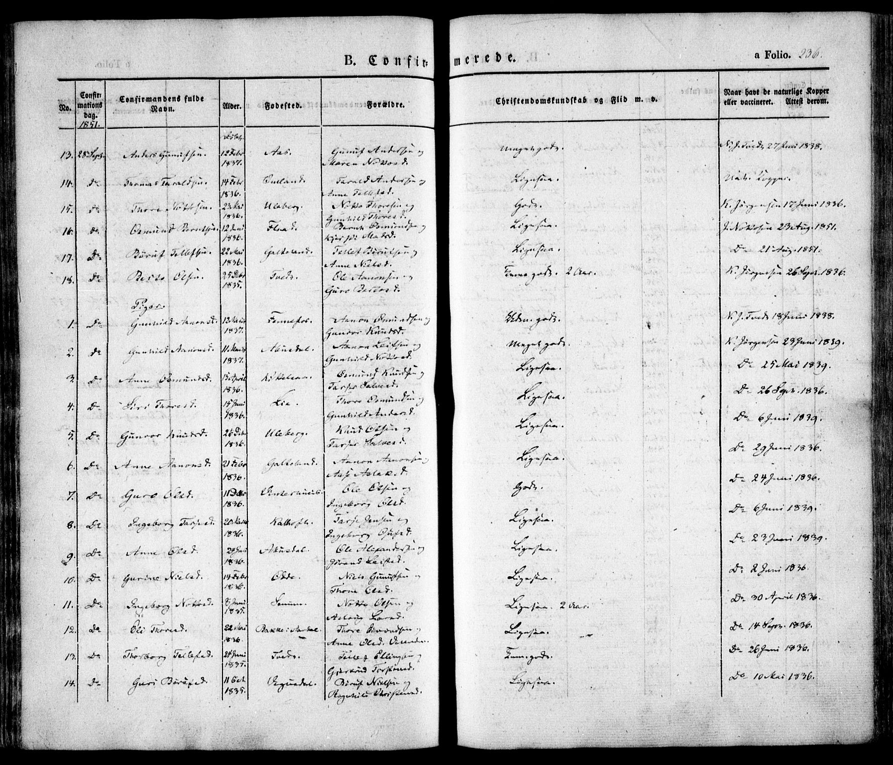 Evje sokneprestkontor, AV/SAK-1111-0008/F/Fa/Faa/L0005: Parish register (official) no. A 5, 1843-1865, p. 236