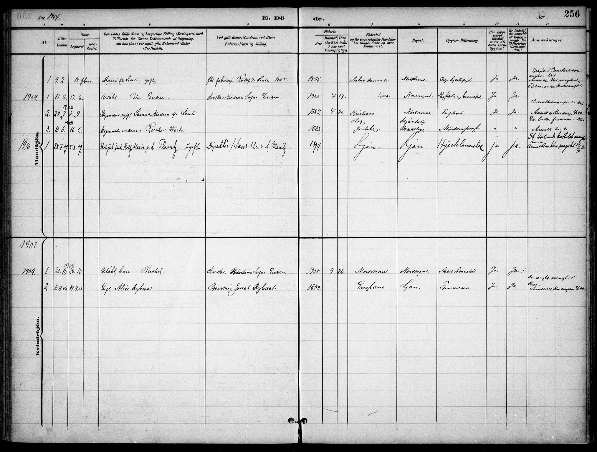 Nordstrand prestekontor Kirkebøker, SAO/A-10362a/F/Fa/L0001: Parish register (official) no. I 1, 1900-1914, p. 256