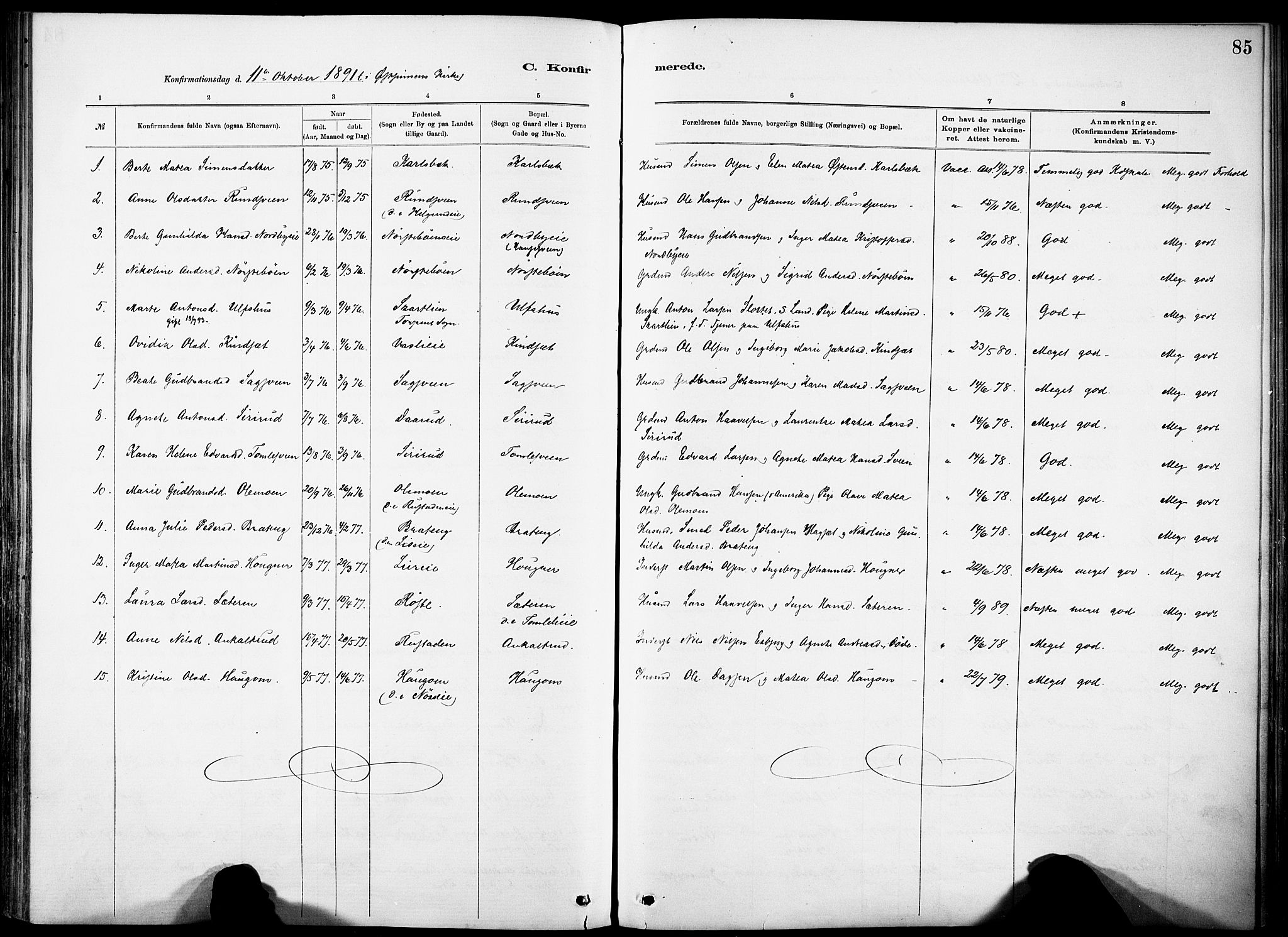 Nordre Land prestekontor, AV/SAH-PREST-124/H/Ha/Haa/L0005: Parish register (official) no. 5, 1882-1903, p. 85