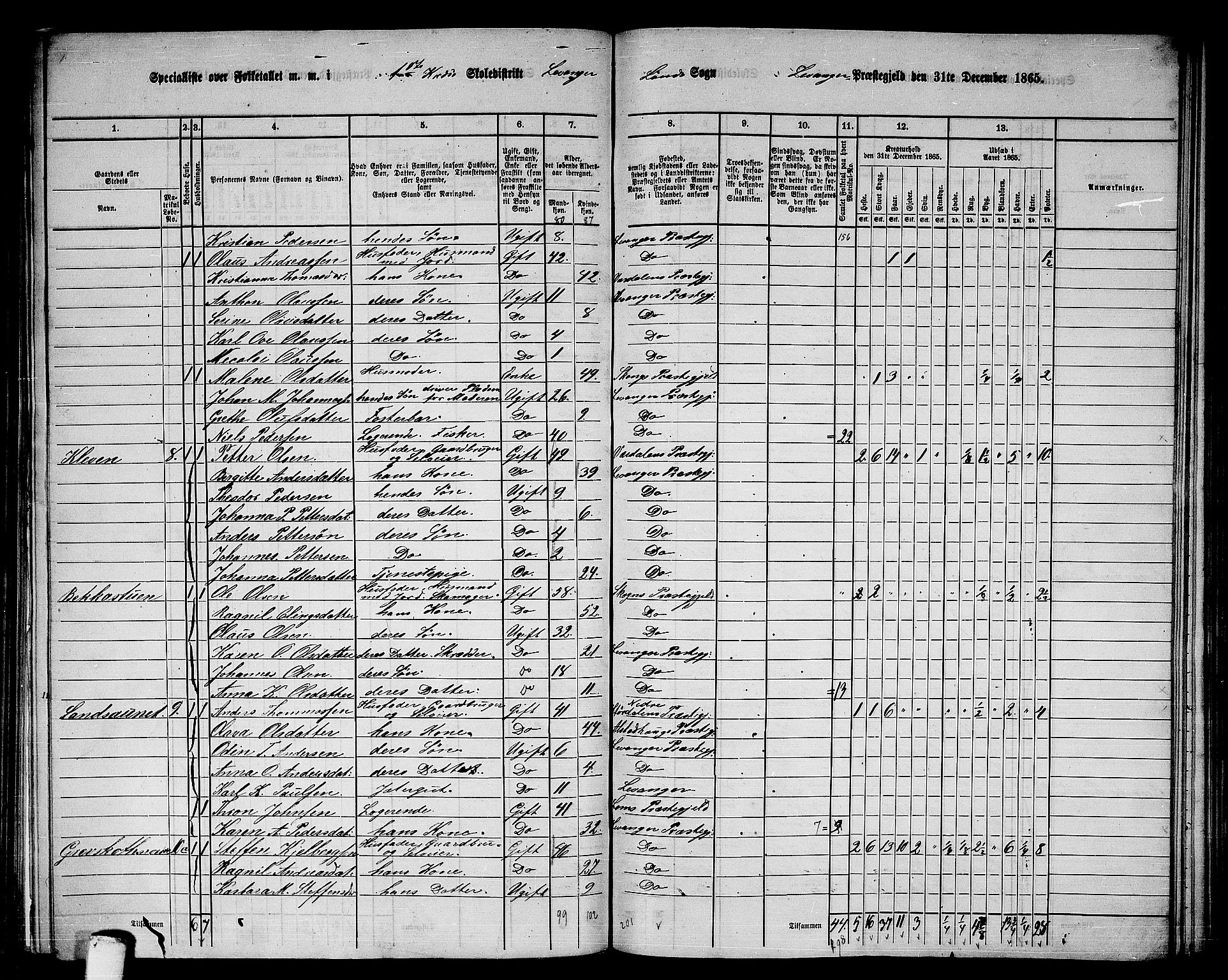 RA, 1865 census for Levanger/Levanger, 1865, p. 11