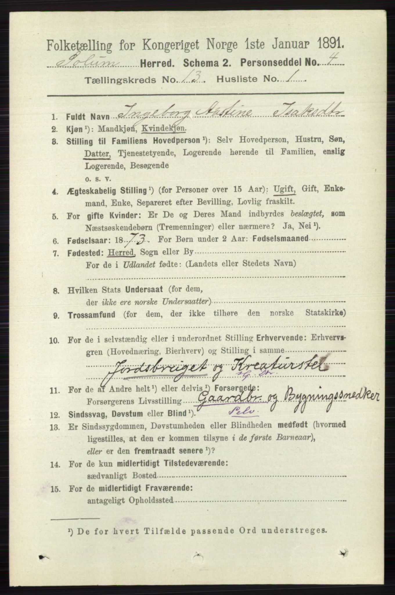 RA, 1891 census for 0818 Solum, 1891, p. 6060