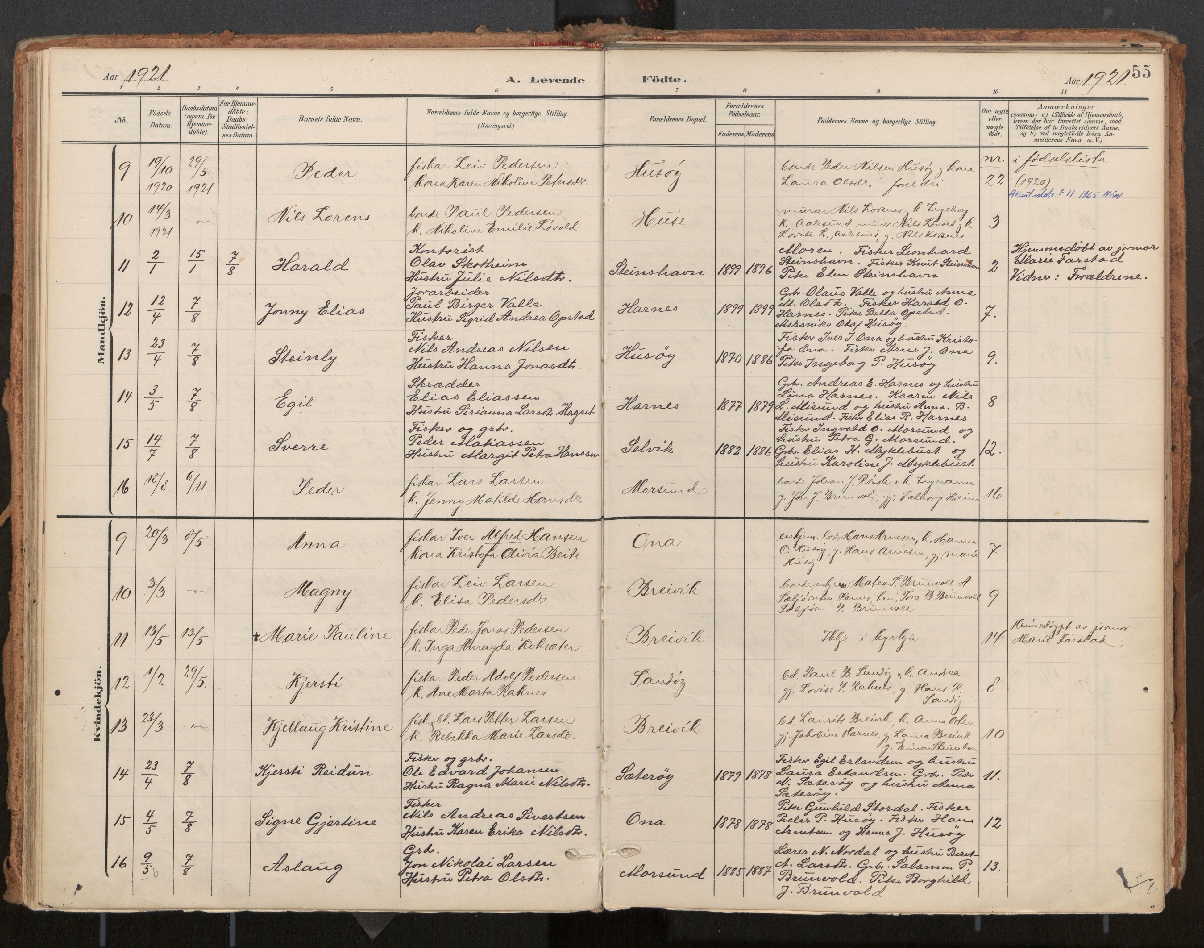 Ministerialprotokoller, klokkerbøker og fødselsregistre - Møre og Romsdal, AV/SAT-A-1454/561/L0730: Parish register (official) no. 561A04, 1901-1929, p. 55